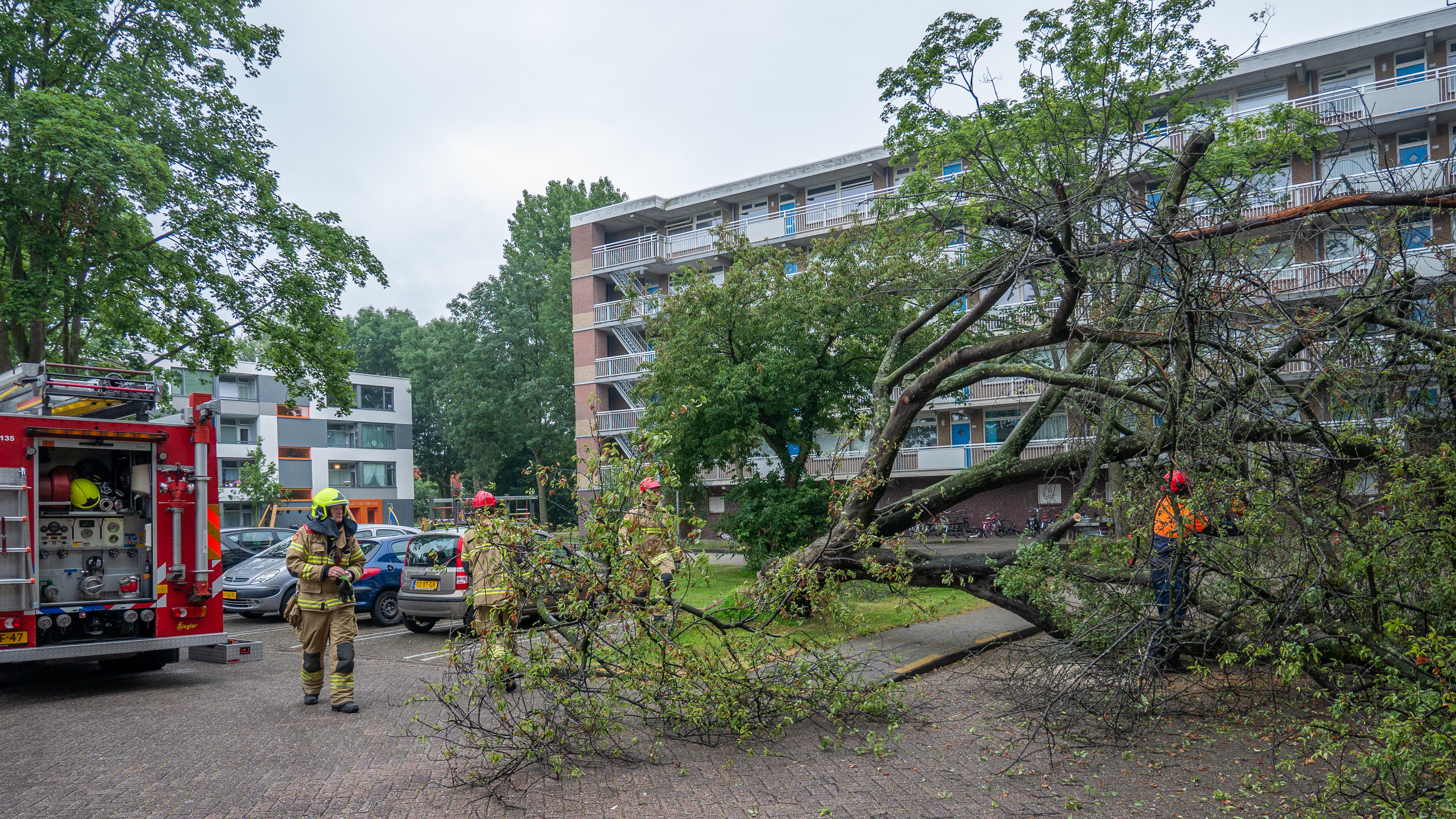 Flinke boom valt tegen flatgebouw in Alkmaarse Maasstraat