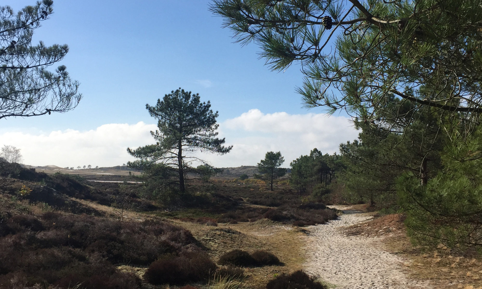 Een bijzondere zwerftocht door de Schoorlse Duinen: de Muir Trek