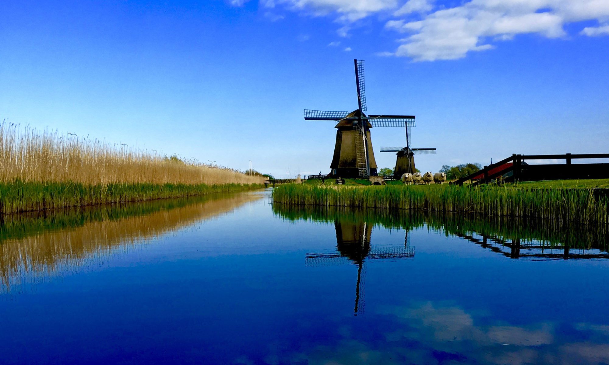 Beleef de molens tijdens Schermermaaldag