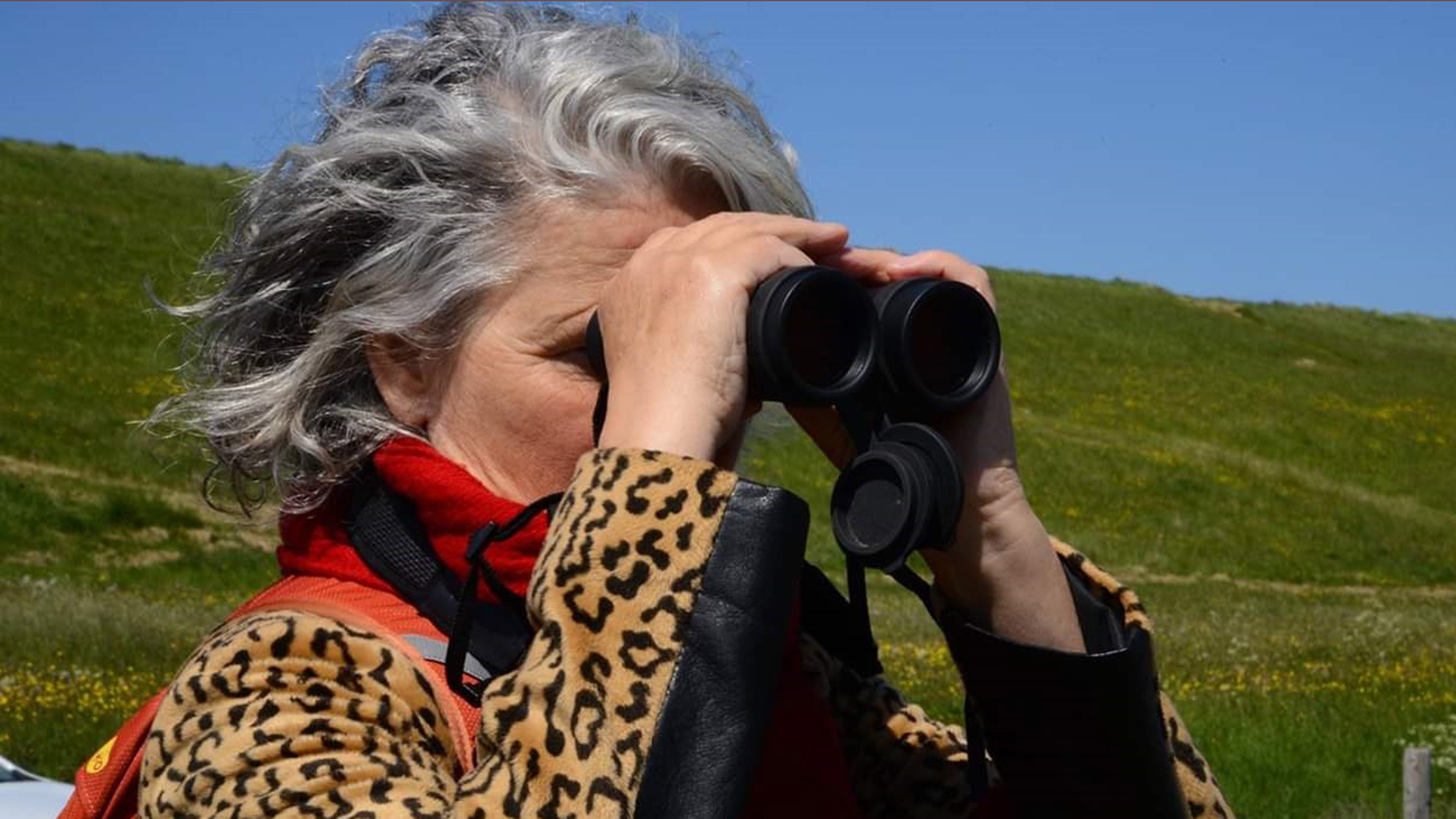 Intiem filmportret van Alkmaarse dichter Elly Stolwijk