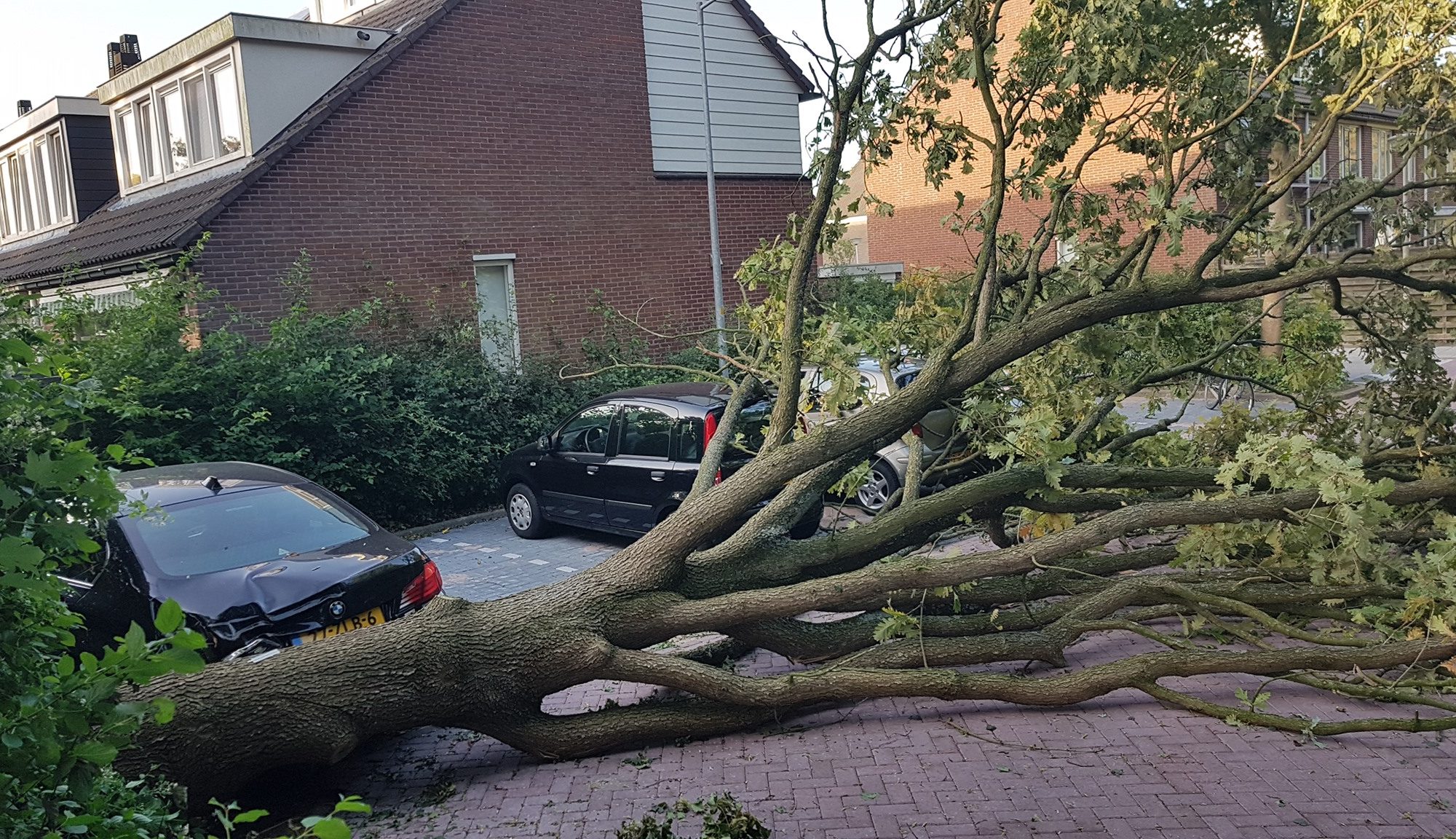 Flinke schade na omwaaien boom Vliestroom Alkmaar