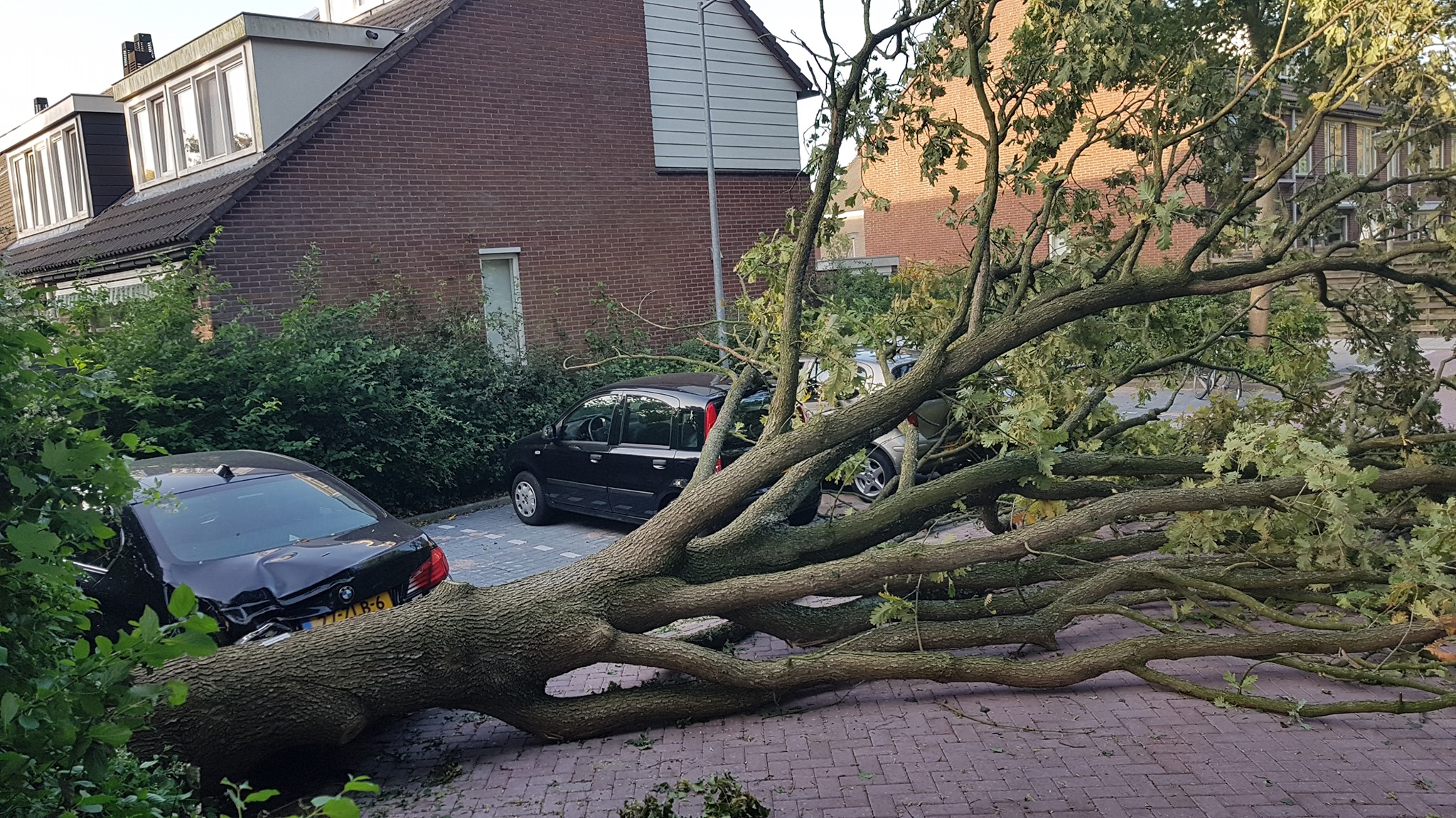 Flinke schade na omwaaien boom Vliestroom Alkmaar