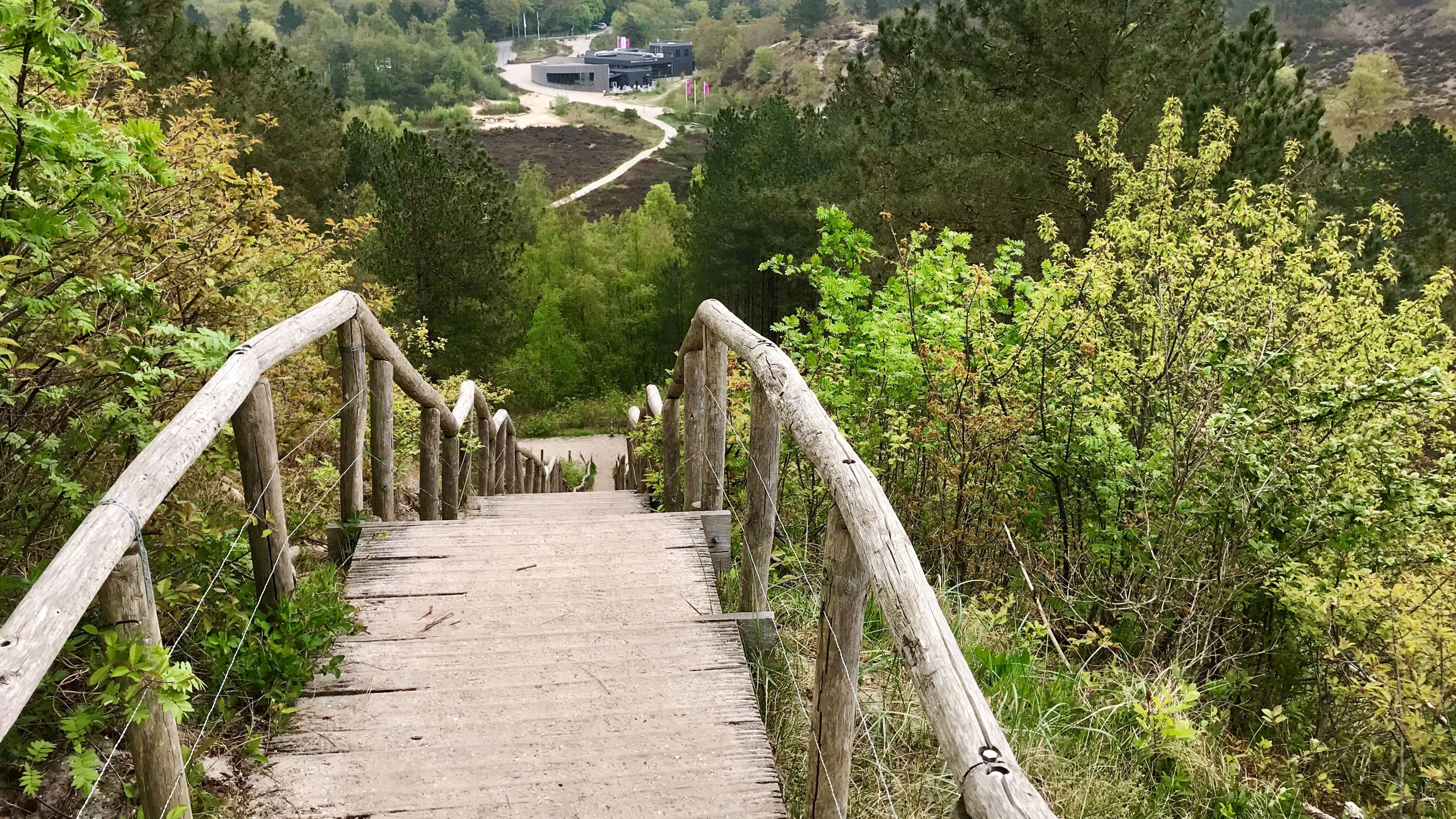 Natuur heilzaam voor zintuigen: natuurbelevingsconcert met stiltewandeling in Schoorlse Duinen 🗓