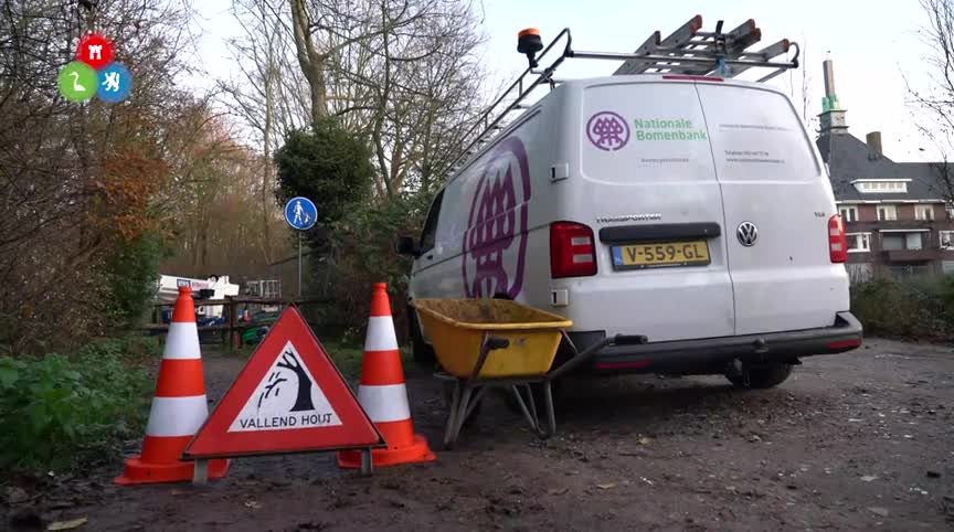 20191203 ALK bomen de hout voorbereidingen