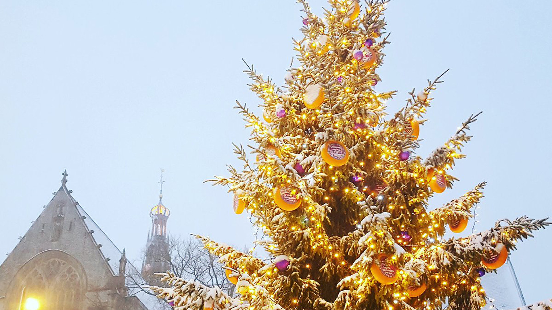 Ontsteken kaaskerstboom aftrap van Warme Wintermaanden en cadeau-actie