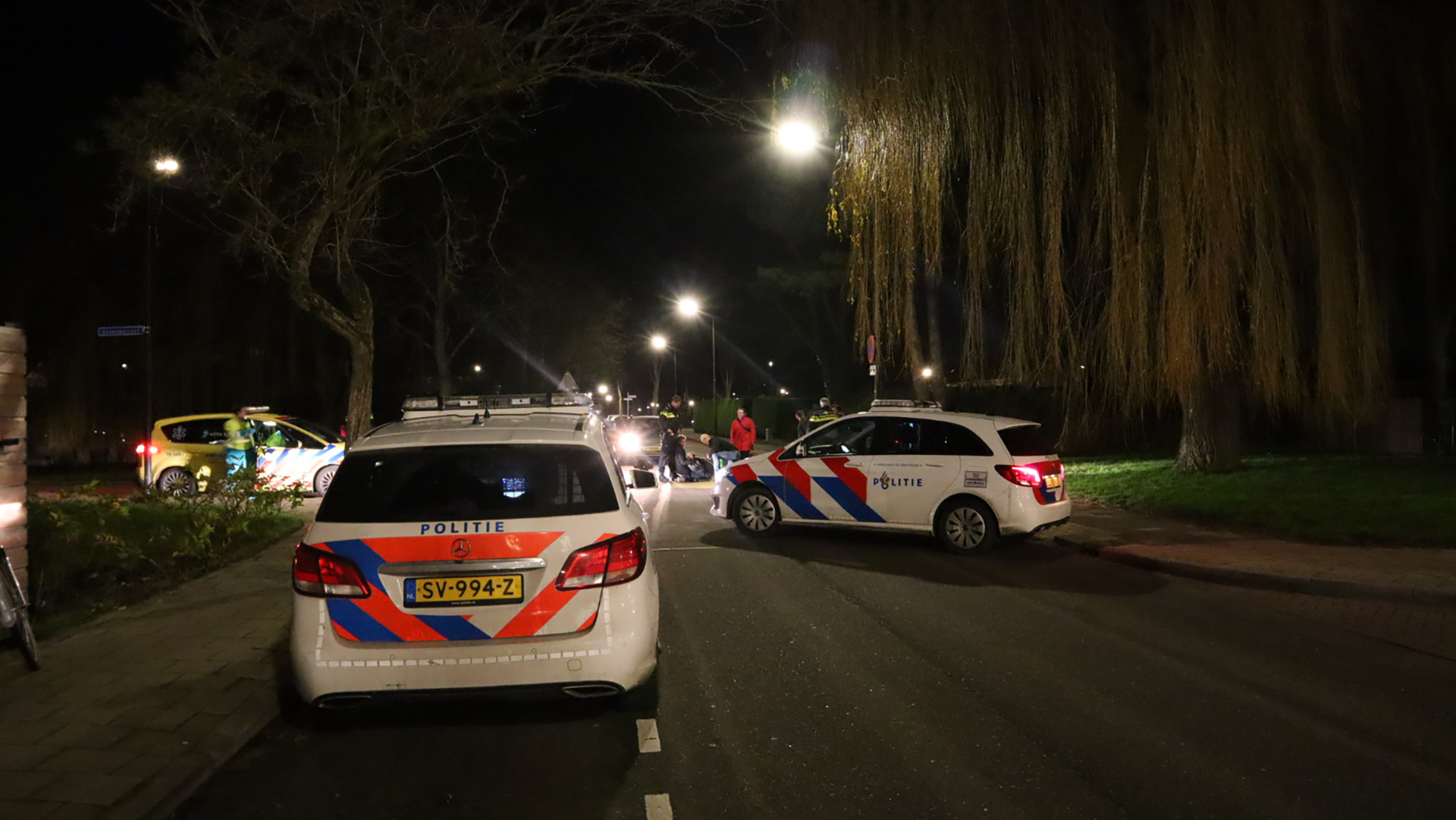 Overstekende hond op Gezellestraat in Heerhugowaard zorgt voor ernstig ongeval fietser