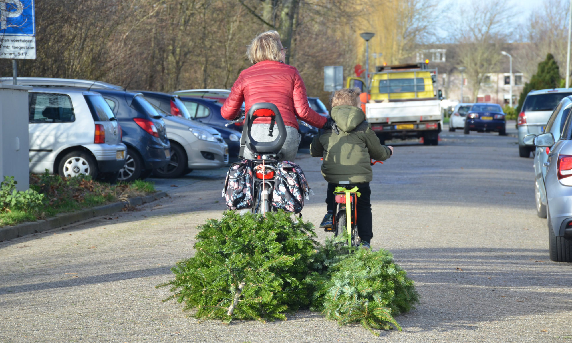 Zakcentje verdienen met het inleveren van kerstbomen