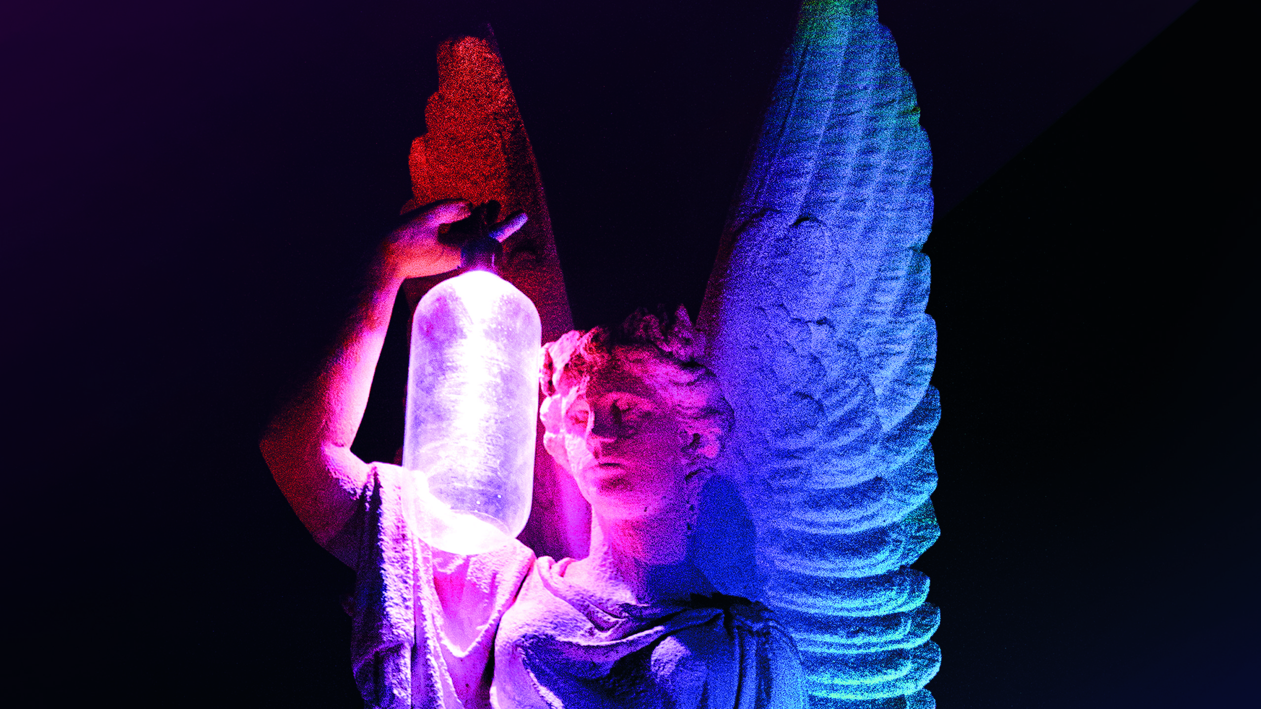 Nieuw: Alkmaar Light Festival in het Victoriepark 🗓