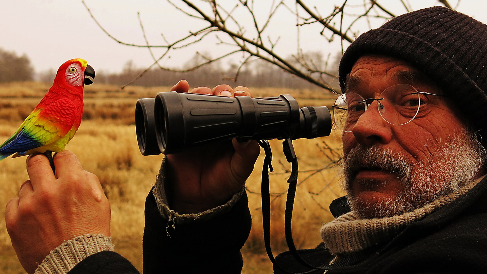 Kunstenaar O.C. Hooymeijer geeft lezing over zijn fictieve vogels bij Kunstuitleen Alkmaar