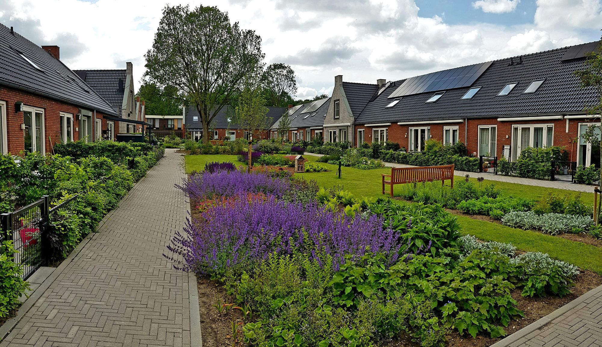 Knarrenhof Oudkarspel: senioren samen in een hofje