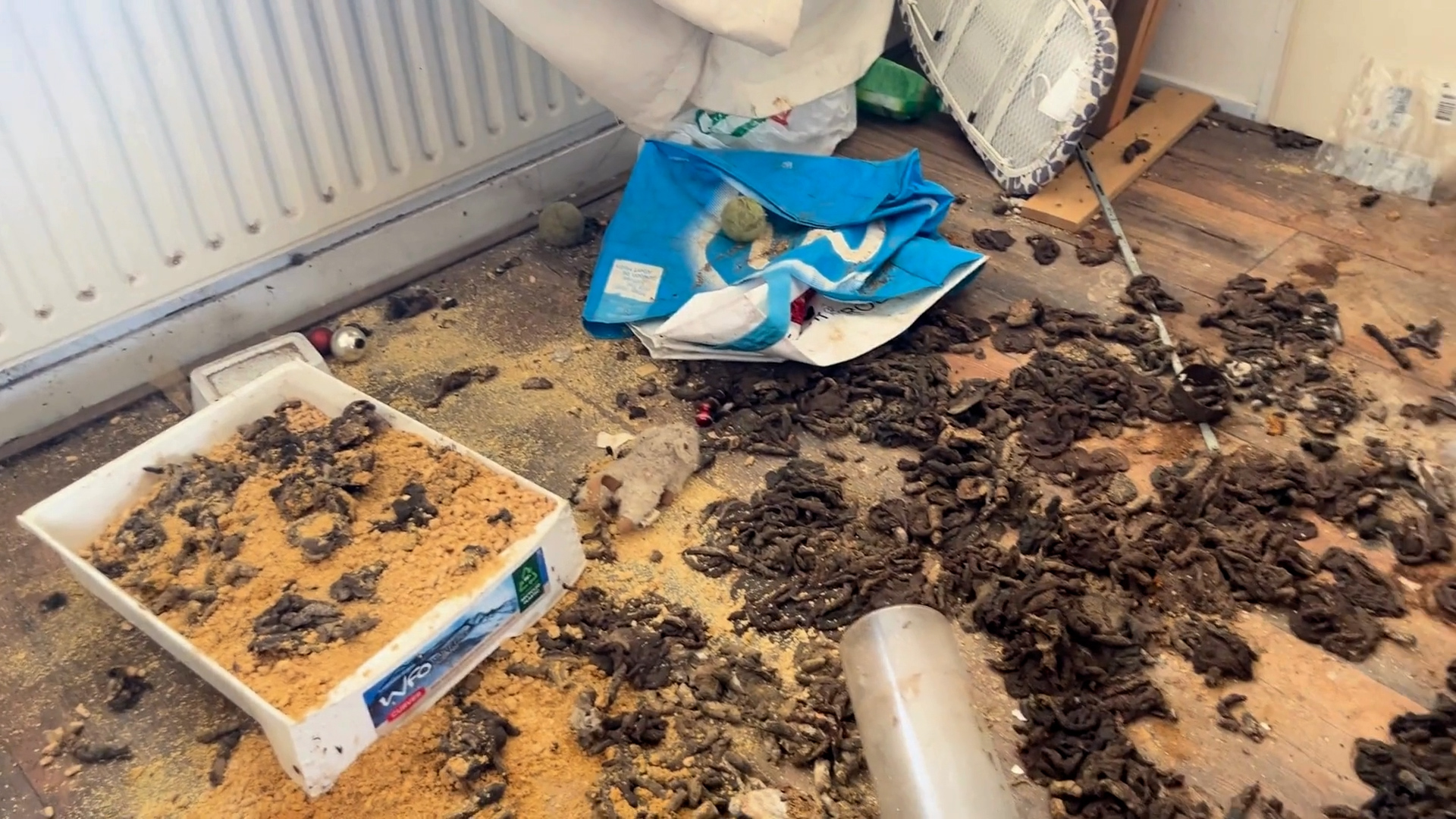 Een kamer met viezige vloer bedekt met dierenuitwerpselen, zaagsel, een omgevallen kattenbak en kapotte huishoudelijke voorwerpen.