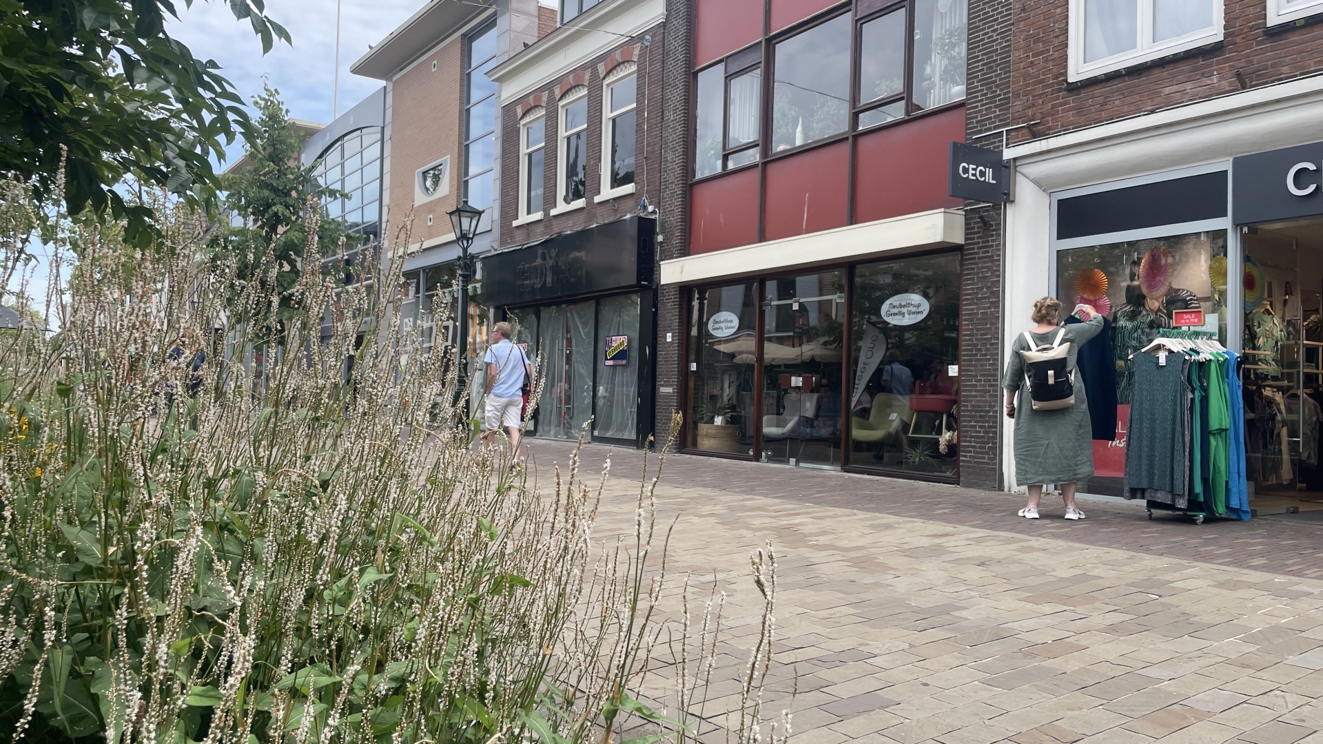 Winkelstraat met mensen, winkelgevels, en plantengroei op de voorgrond.