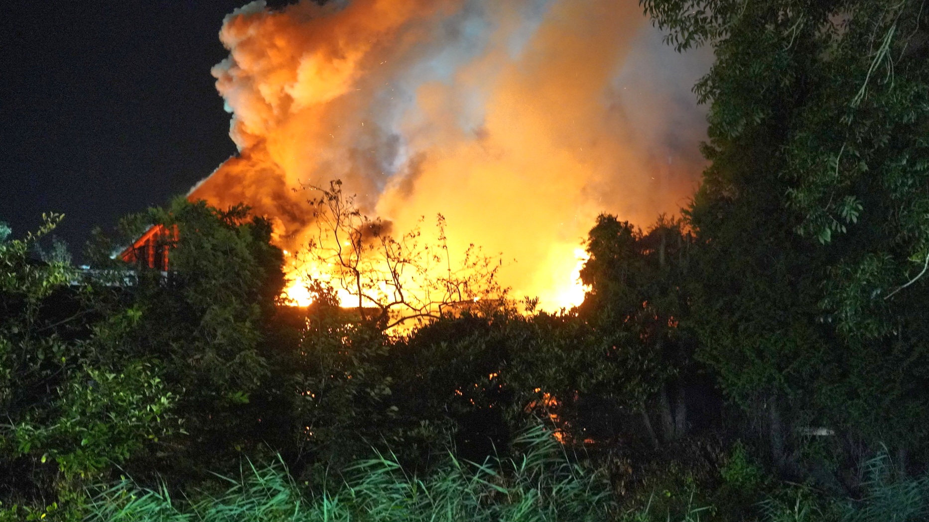 Een groot vuur achter bomen en struiken in de nacht.