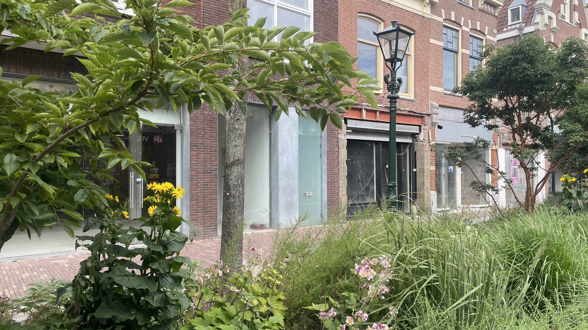 Straat met oude gebouwen en groenvoorzieningen zoals bomen en bloemen.