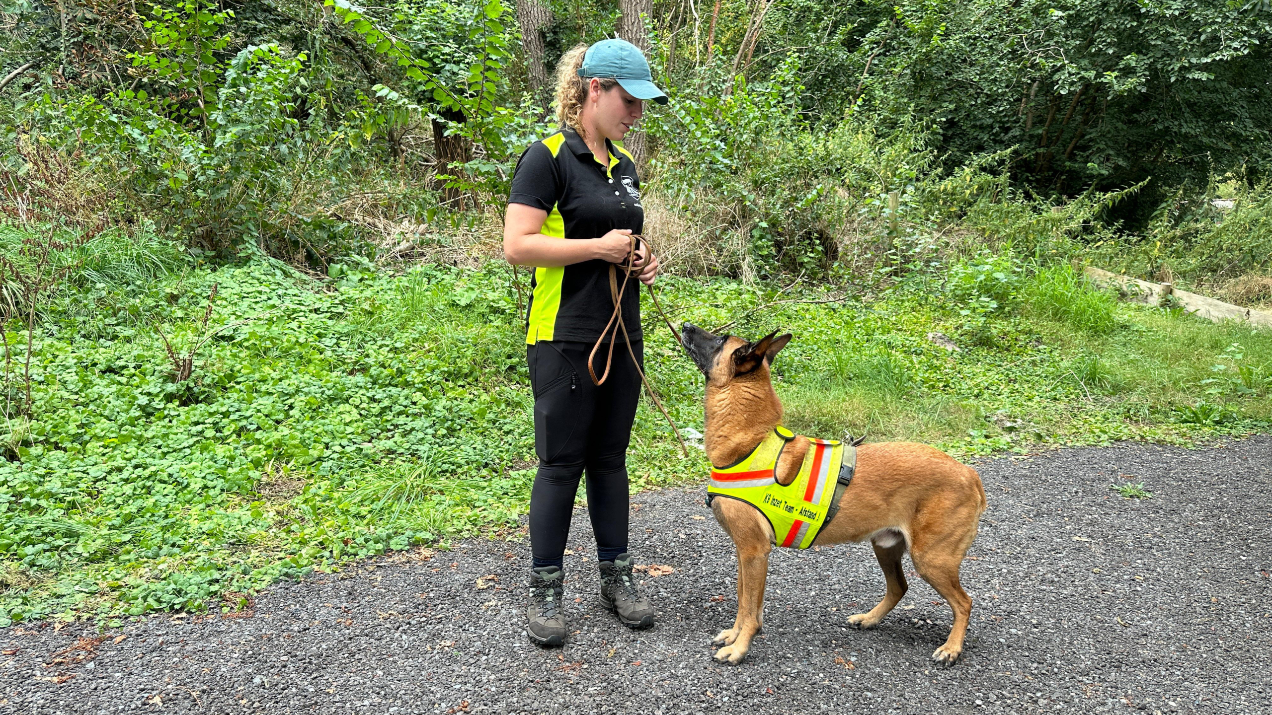 Vrouw in zwarte en gele sportkleding met een pet, die een bruine reddingshond met hesje in het bos traint.