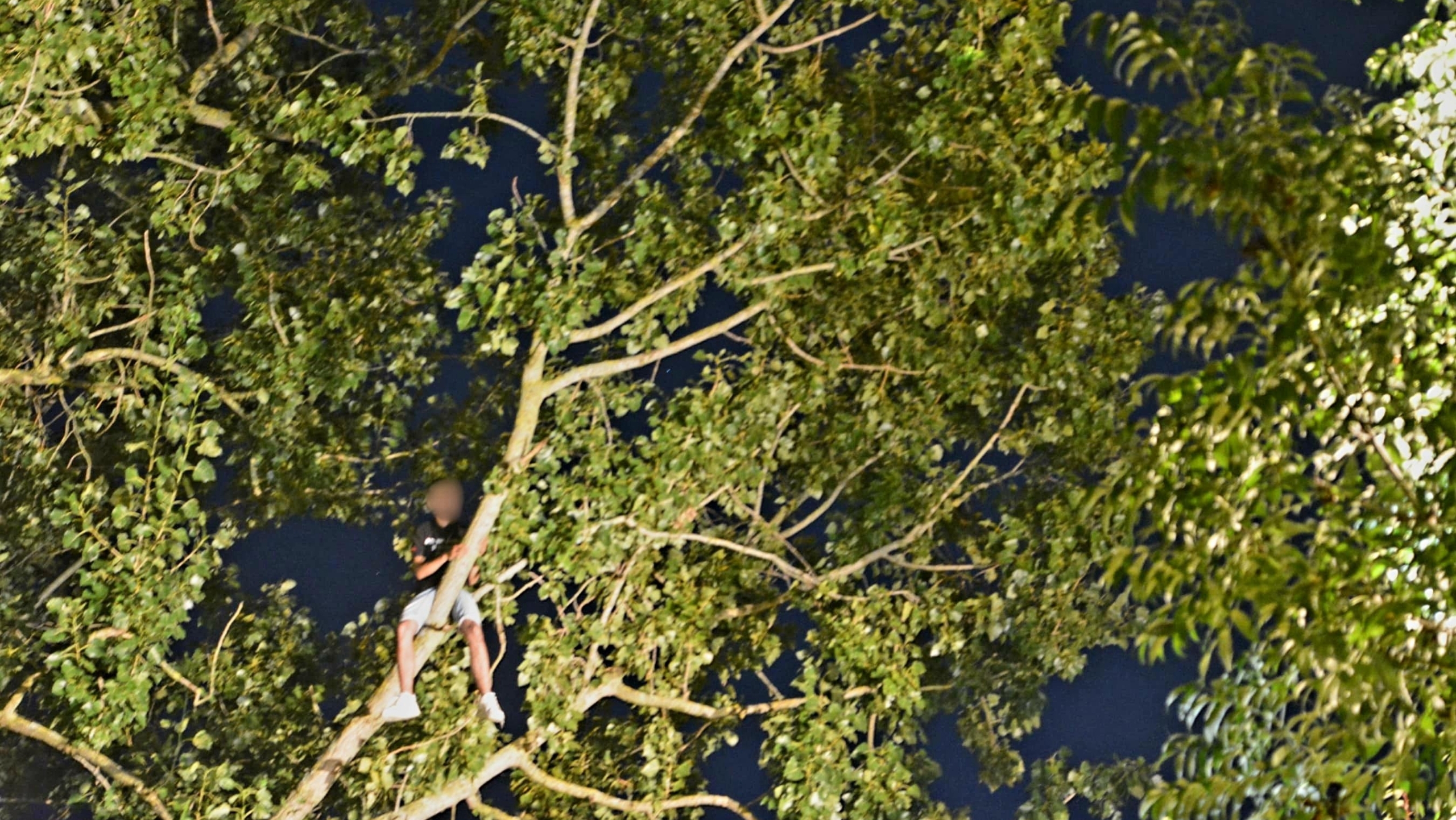 Hoogwerker brandweer haalt dronepiloot uit boom
