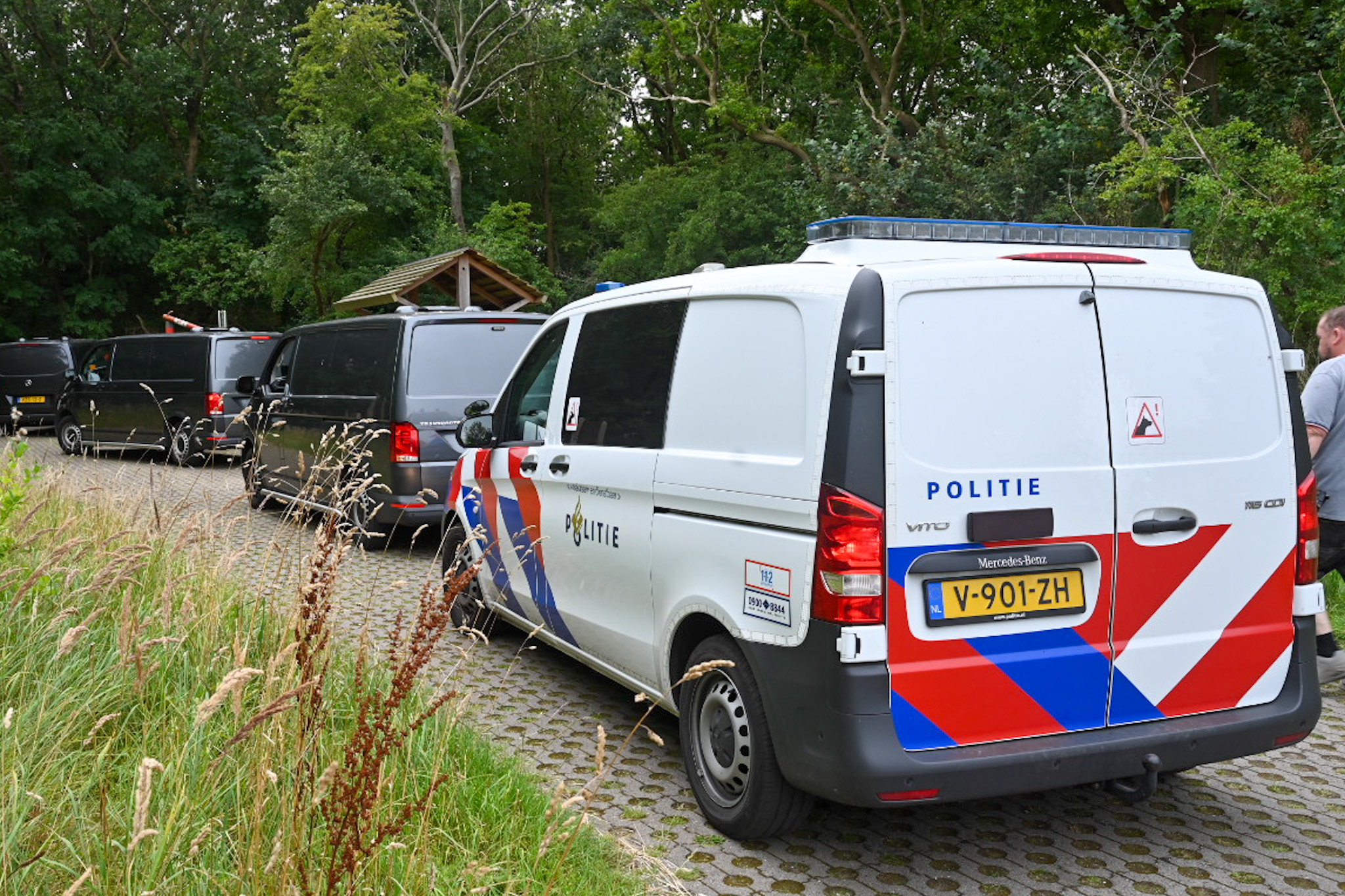 Politiebusjes geparkeerd langs een bosrijke weg.