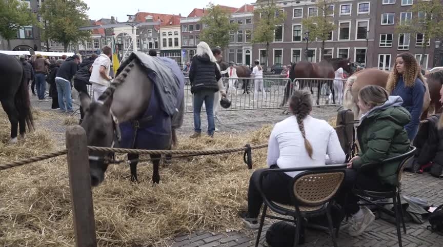 Paardenmarkt met mensen en paarden op een stadsplein met historische gebouwen op de achtergrond.