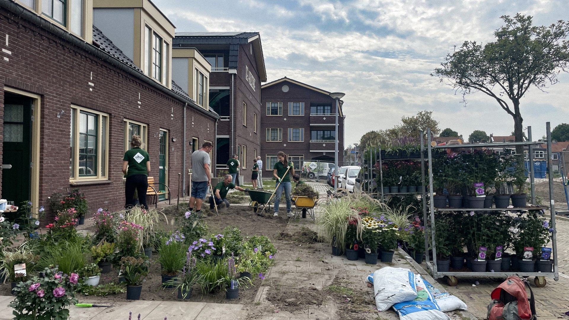 Vrijwilligers planten bloemen en planten aan in een buurttuin naast een rij nieuwbouwwoningen.