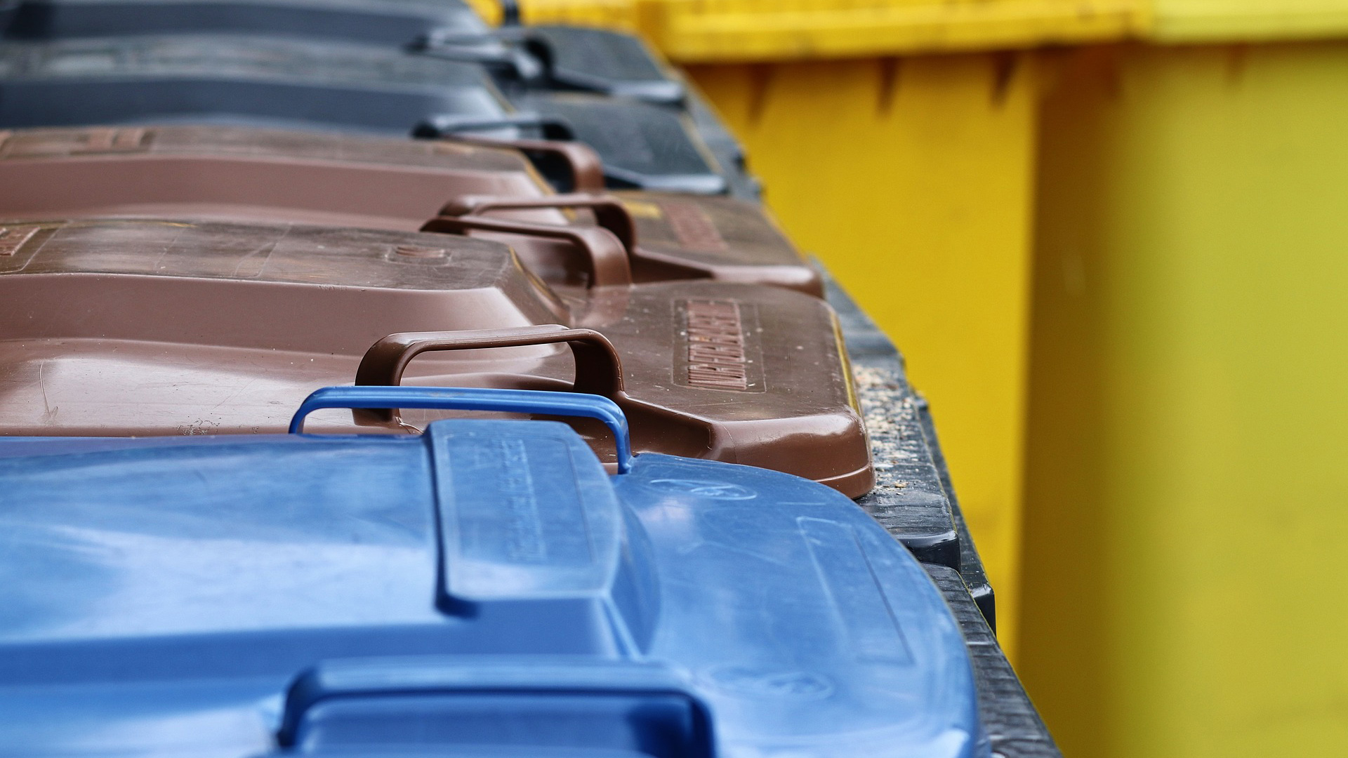 Rij afvalcontainers in verschillende kleuren.