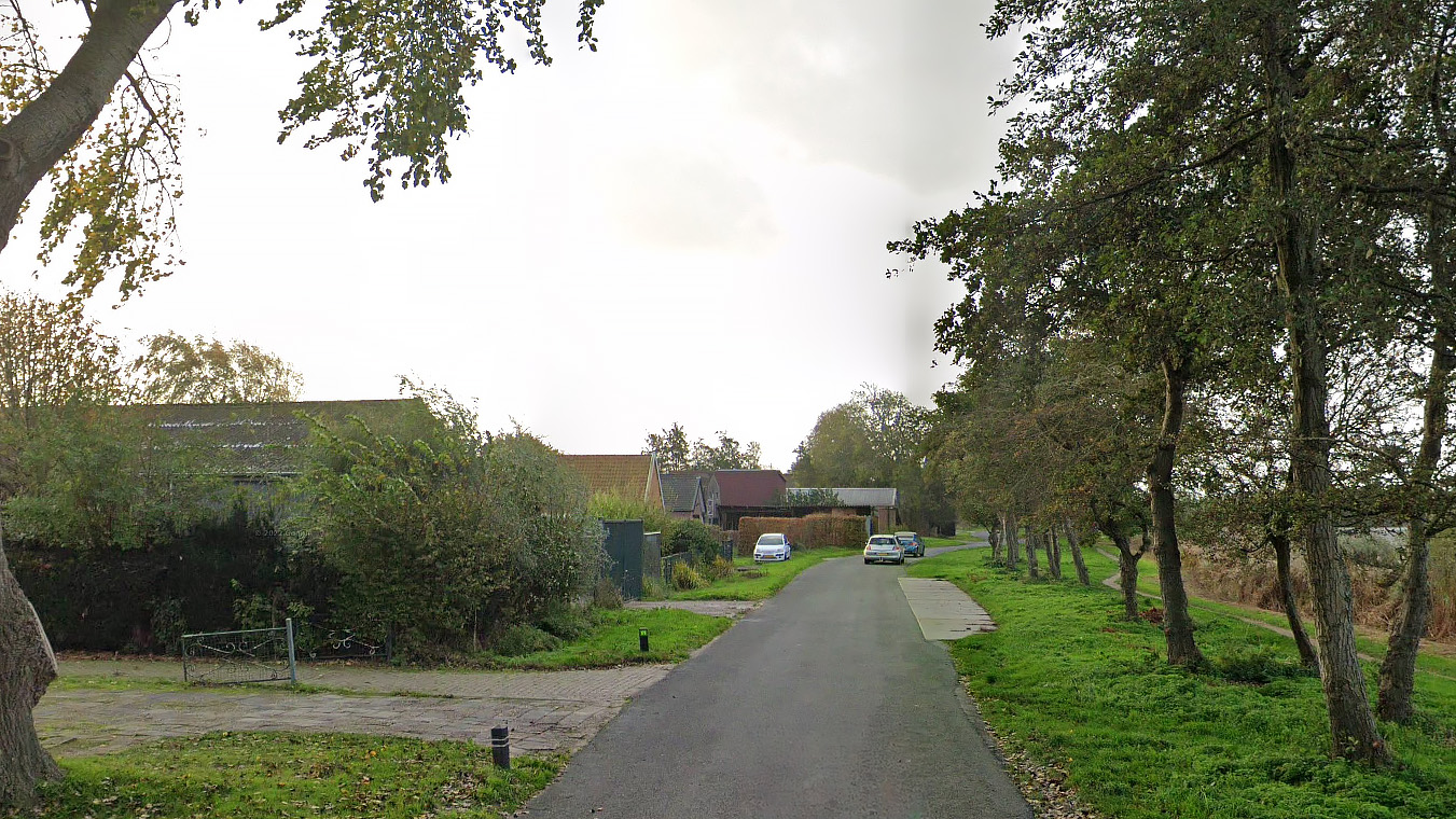 Landelijke straat met bomen en huizen aan beide kanten, geparkeerde auto's langs de weg.