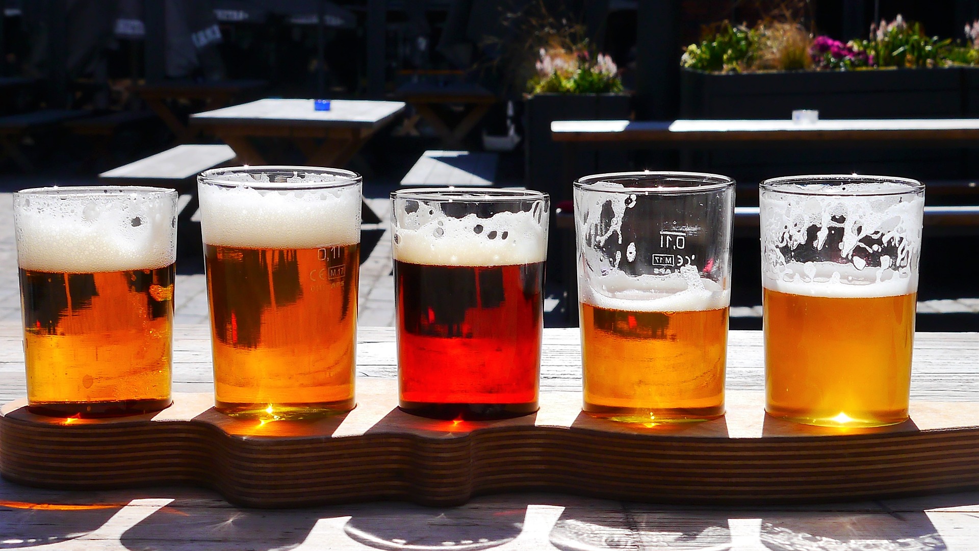 Vijf glazen bier op een houten plank in de zon.