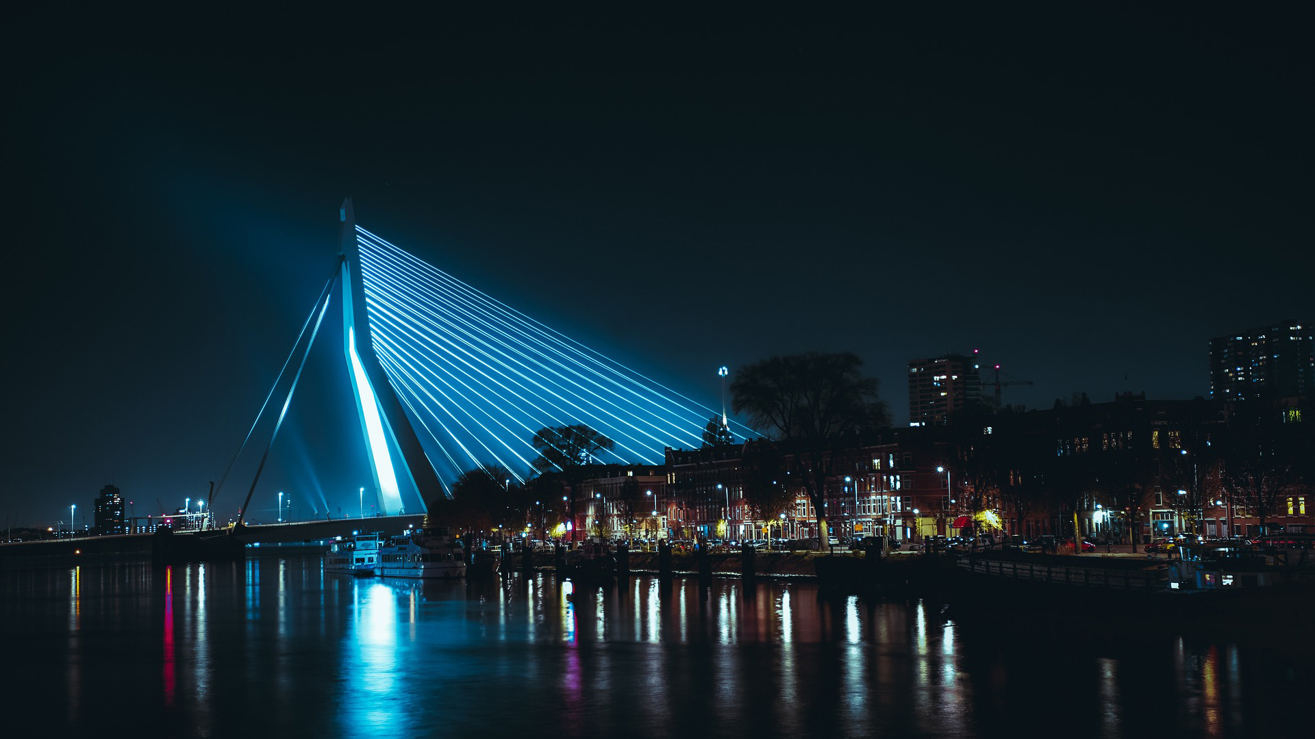 Nachtzicht op de Erasmusbrug in Rotterdam met blauwe verlichting boven de rivier.