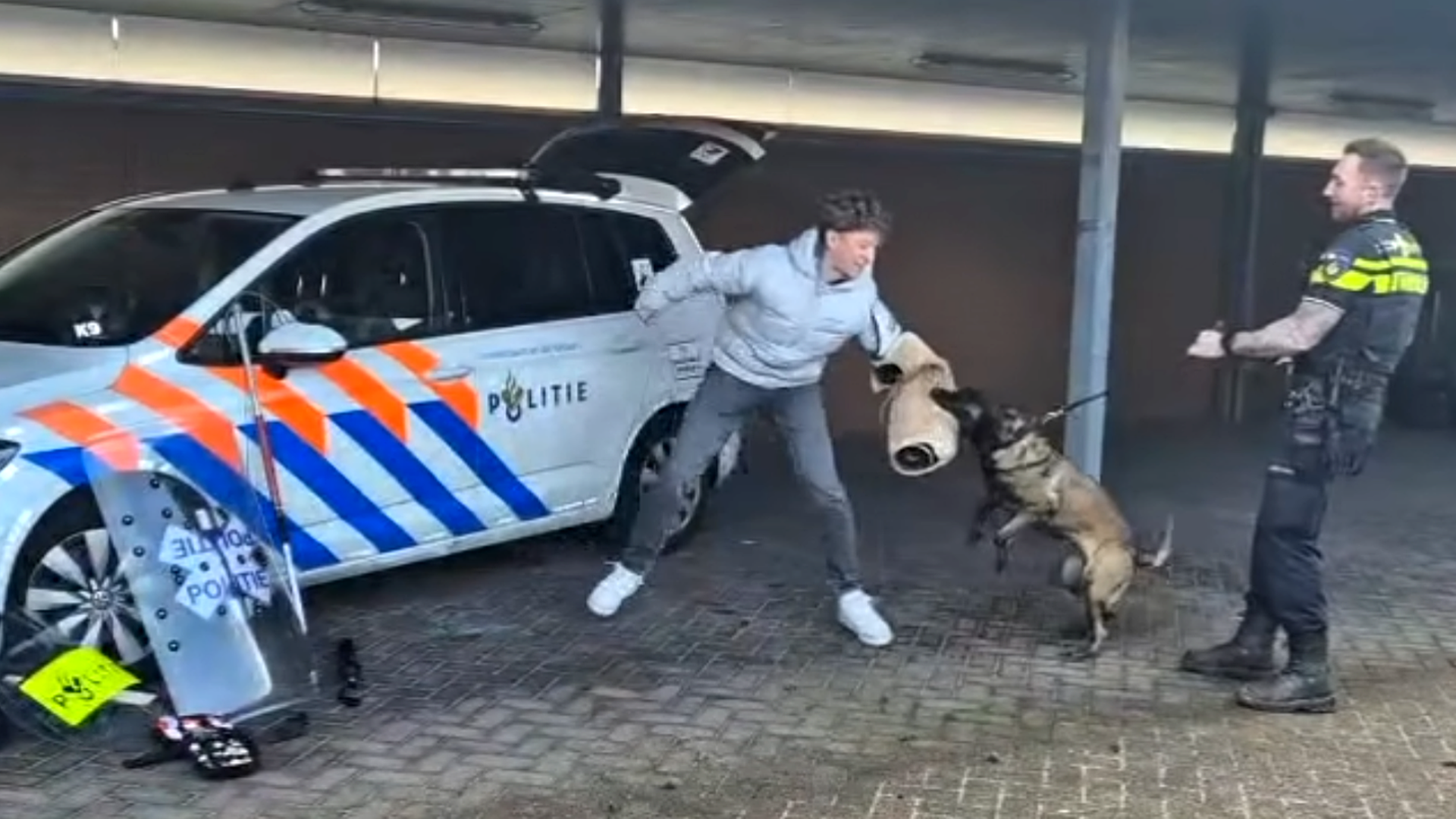 Politieagent met hond traint een persoon met beschermende mouw naast politieauto.