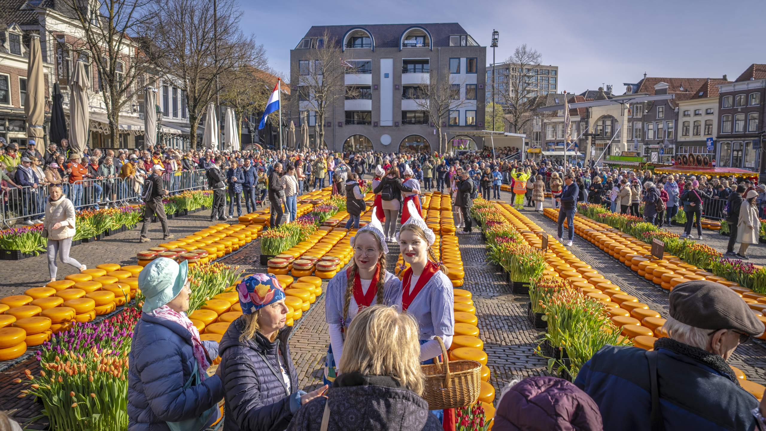 Een drukke kaasmarkt met bezoekers, veel ronde kaaswielen en tulpen, en twee vrouwen in traditionele Nederlandse klederdracht op de voorgrond.