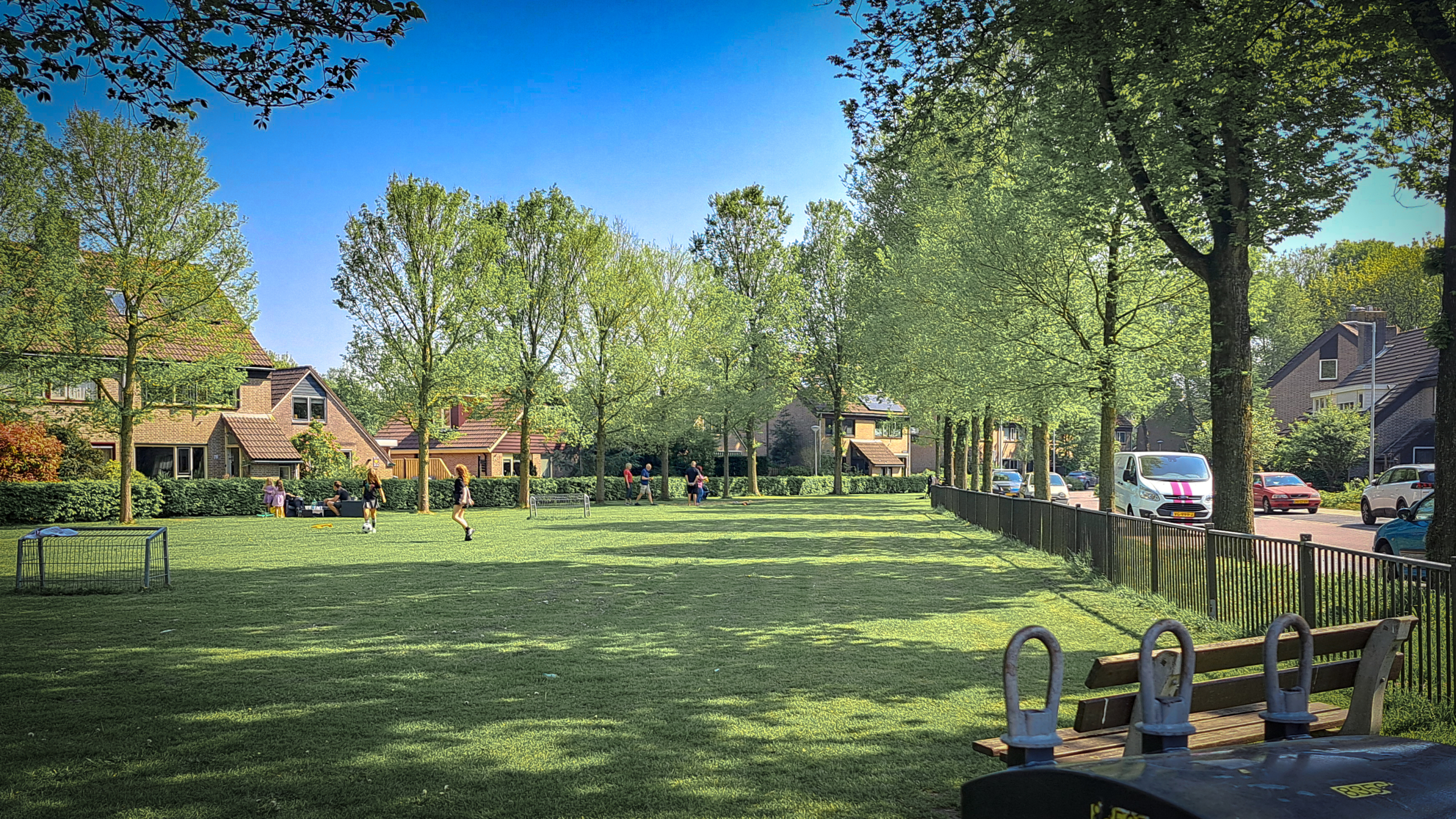 Kinderen spelen op een grasveld in een woonwijk met bomenrij en geparkeerde auto's op straat.