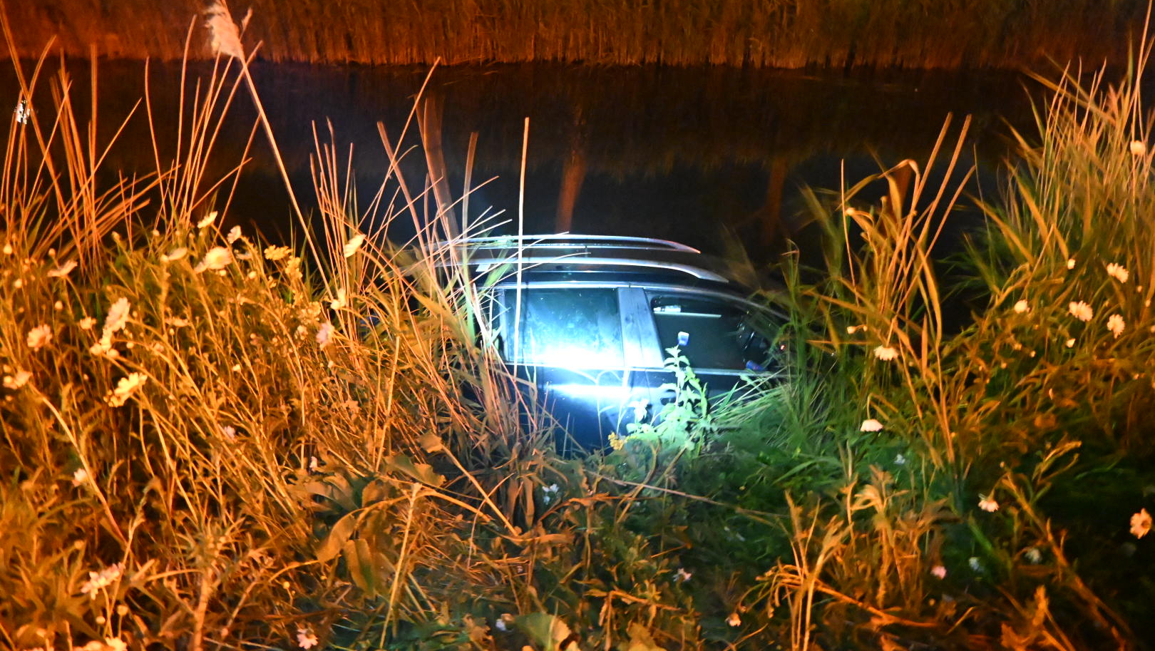 Een auto ligt gedeeltelijk onder water in een sloot, omgeven door hoog gras en wilde bloemen, verlicht door kunstlicht in de nacht.