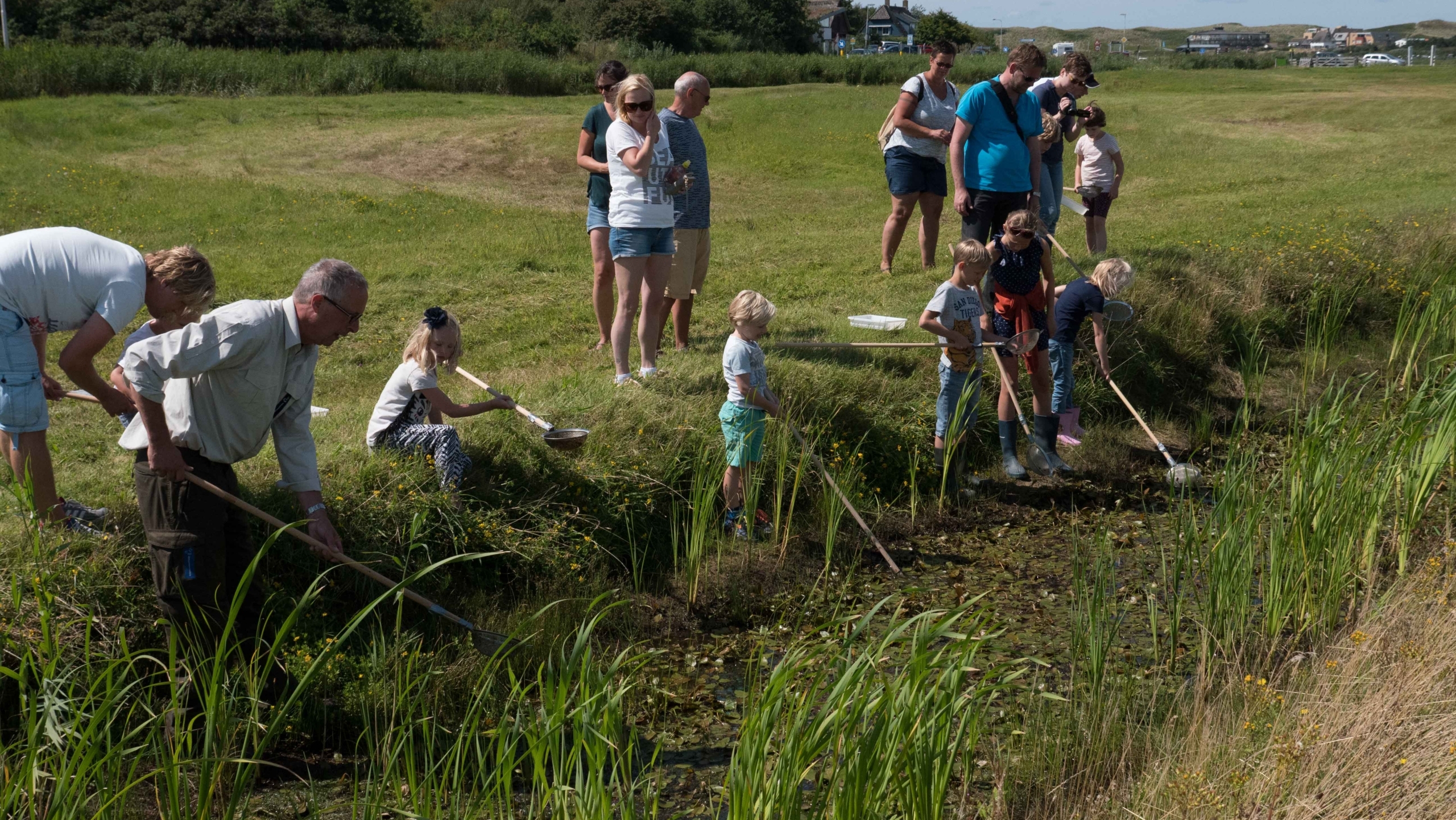 Mensen, waaronder kinderen, staan langs een vijver en gebruiken netten om in het water te scheppen, omgeven door gras en riet, op een zonnige dag.