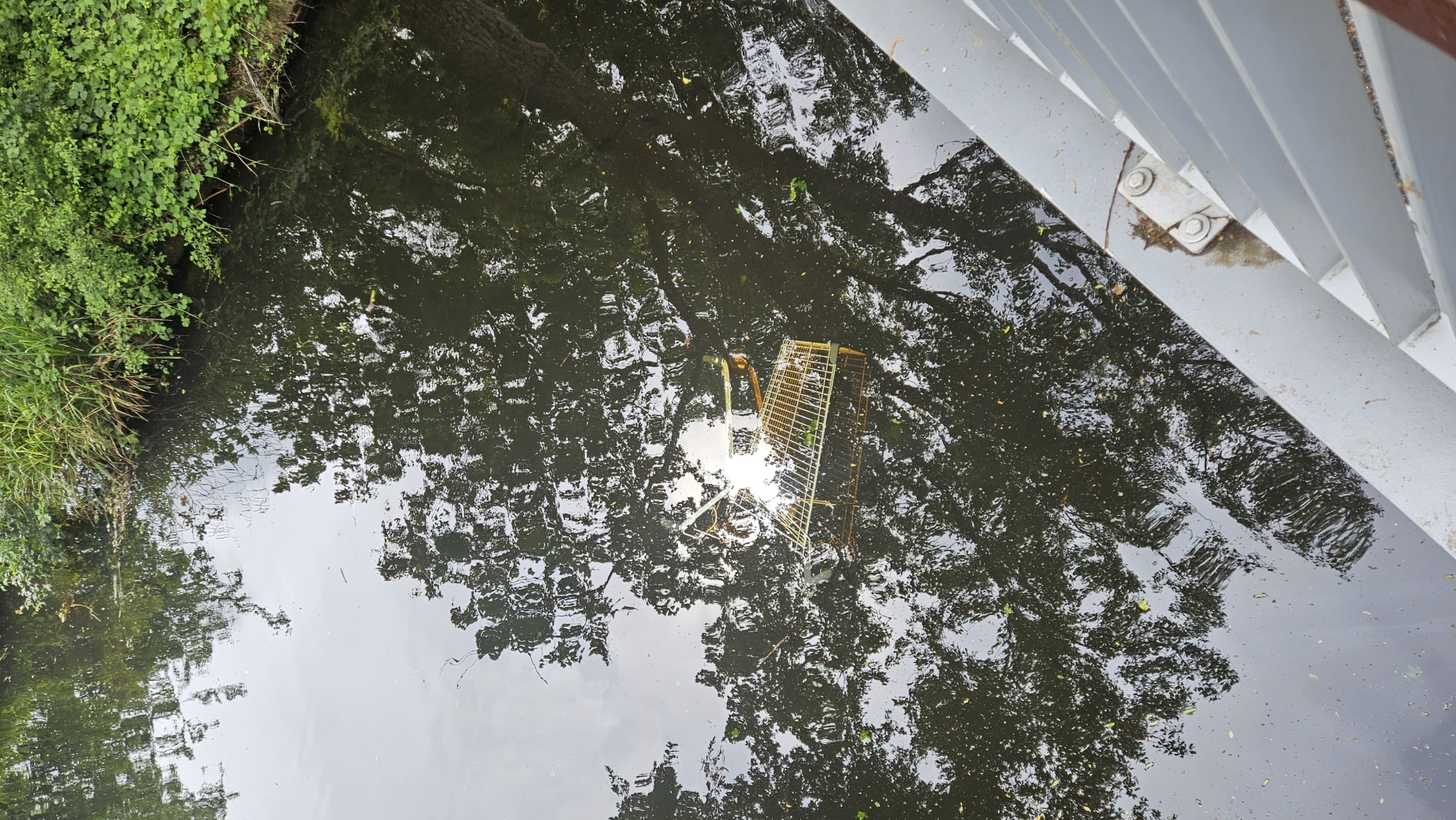 Een winkelwagentje ligt onder water in een rivier, omringd door boomreflecties en een groene oever links.