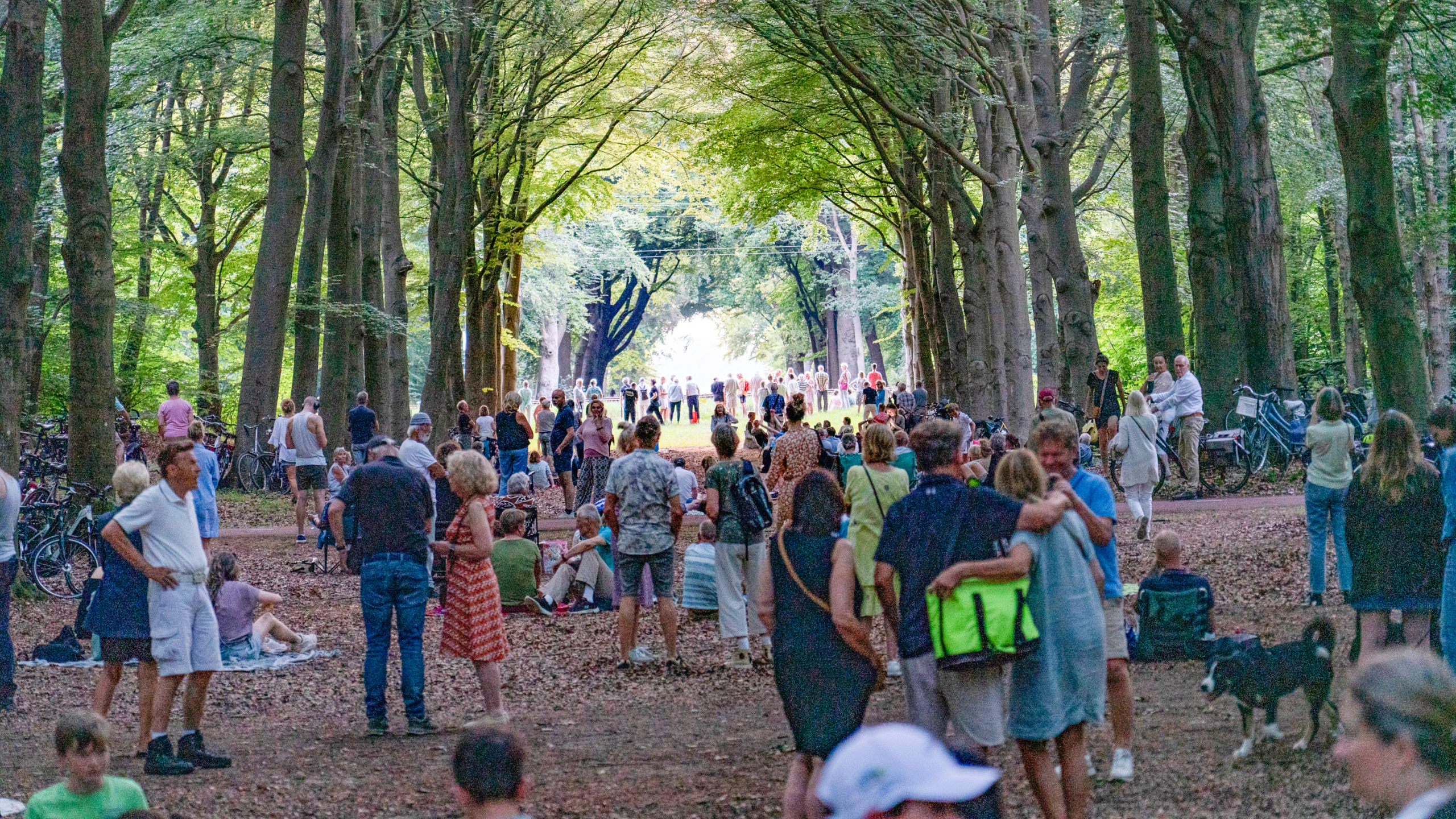 Mensen verzamelen zich in een bosrijke laan onder hoge bomen, sommige staan en anderen zitten op de grond; het is druk en levendig met fietsen aan de zijkant geparkeerd.