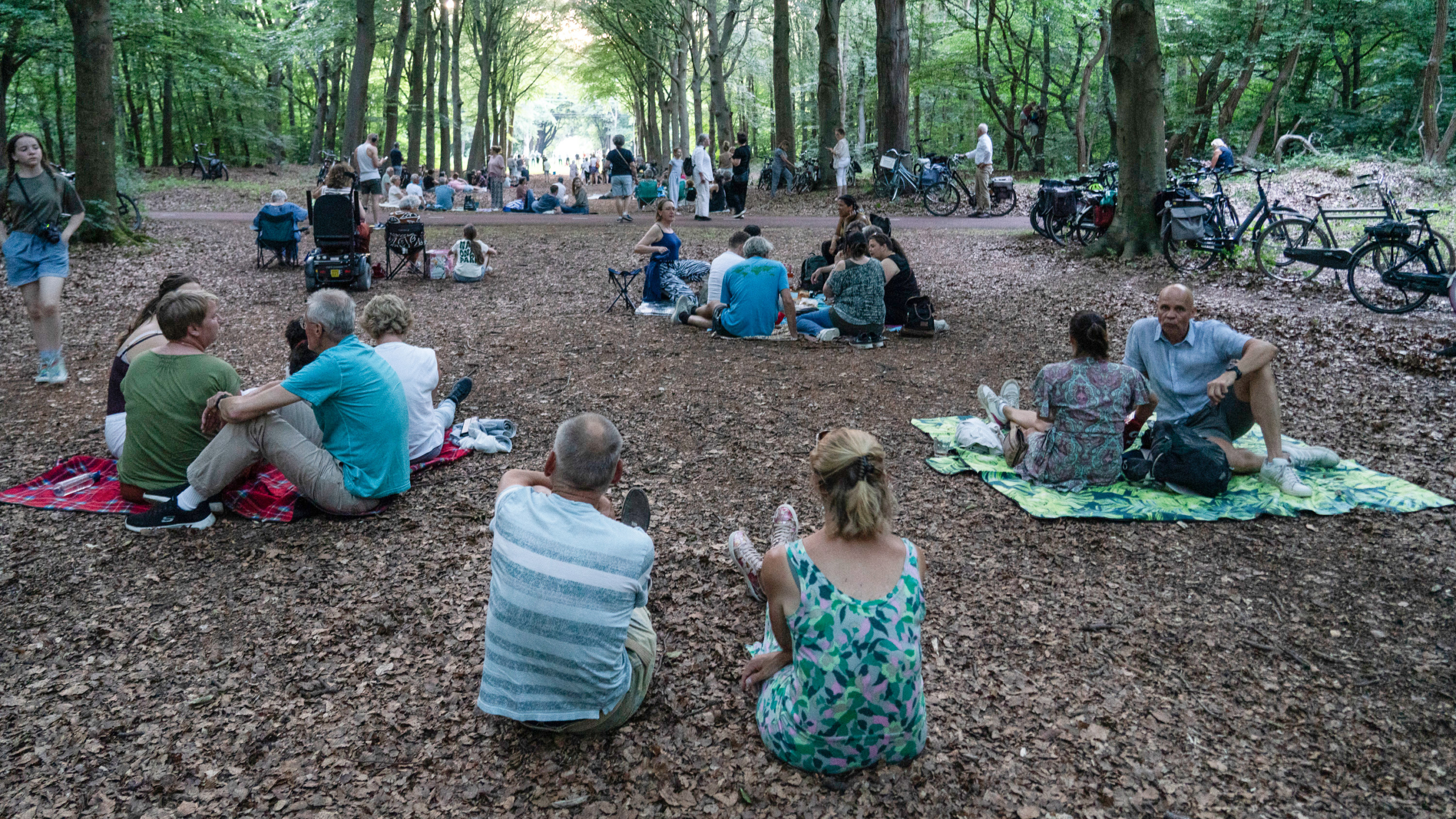 Mensen zitten op dekens en stoelen in een bosrijke omgeving voor een picknick of bijeenkomst, met fietsen geparkeerd langs de kant.
