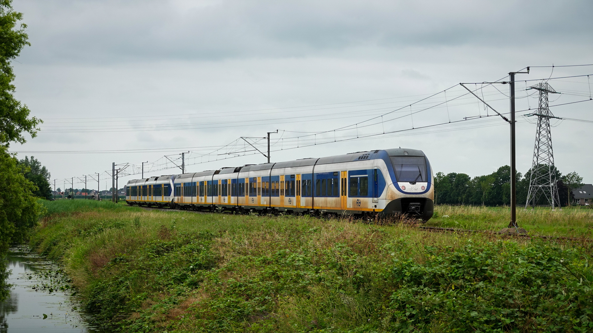 Lange trein van de Nederlandse Spoorwegen rijdt door een groen landschap met gras, struiken en een sloot, onder een bewolkte hemel.