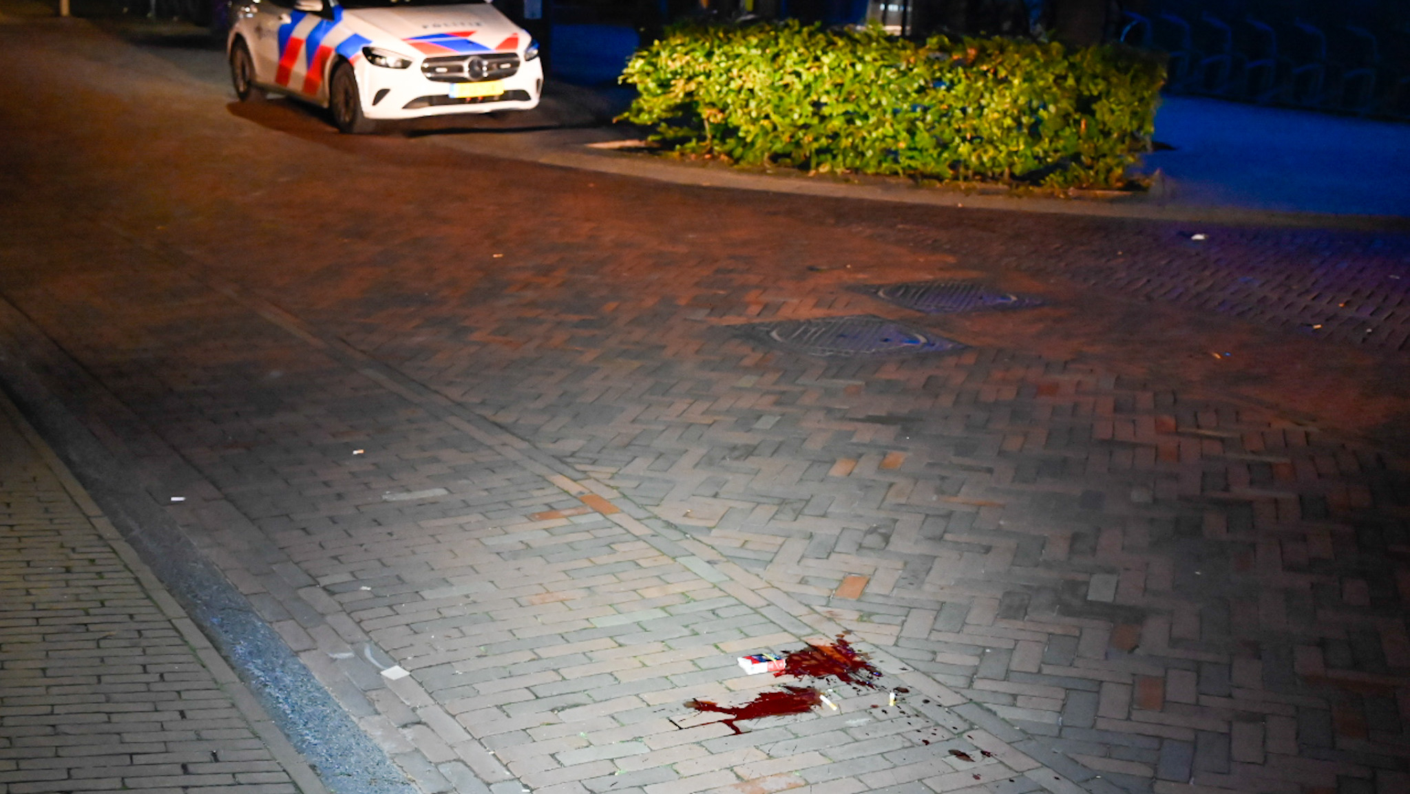 Een politiewagen staat geparkeerd op een stille straat naast een heg, met een plas bloed op de grond op de voorgrond bij nachtelijke verlichting.