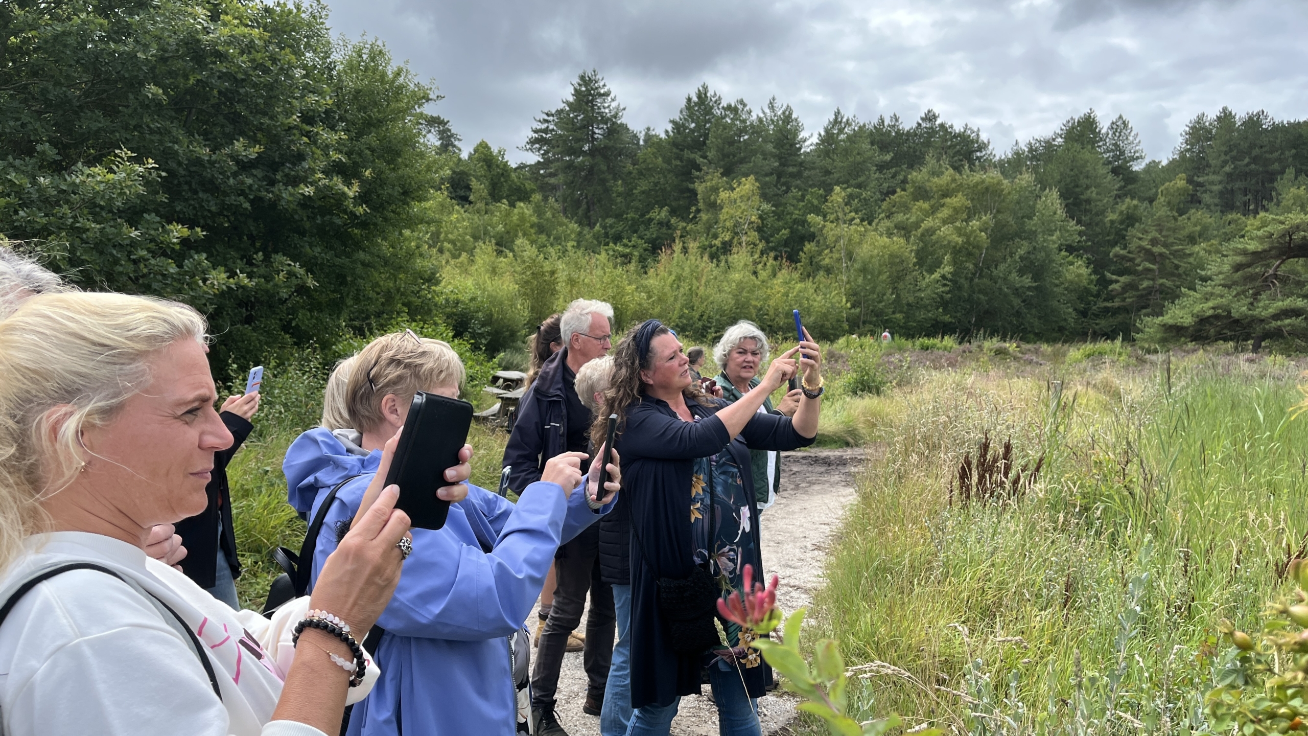 Een groep mensen staat buiten op een pad in de natuur met hun telefoons omhoog, blijkbaar iets fotograferend of filmend. Op de achtergrond zijn bomen en struiken te zien onder een bewolkte hemel.