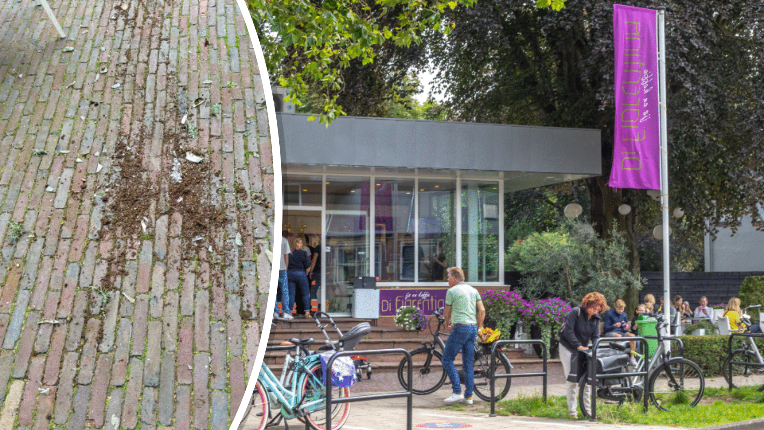 Een collage van twee foto's: links is een bestrate stoep met vuil en bladeren te zien; rechts een modern gebouw met glazen gevel en paarse vlag, omringd door fietsen en een paar mensen. Het gebouw heeft een paarse banner boven de ingang.