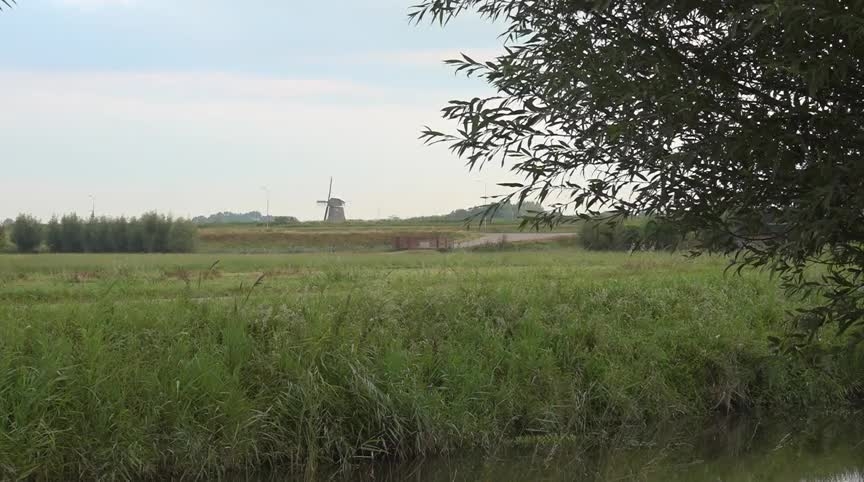 Landschap met een windmolen in de verte op een grasveld, omgeven door groene velden en bomen, onder een bewolkte hemel.