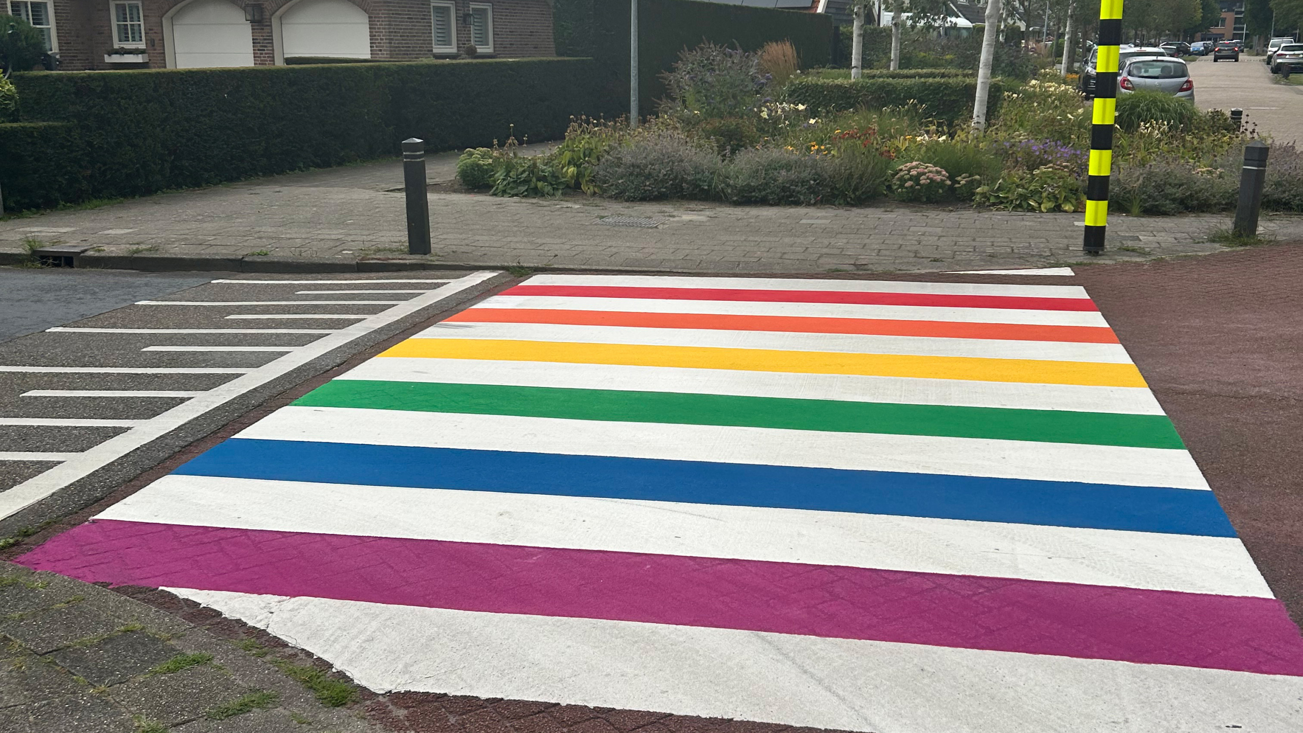 Een zebrapad geschilderd in regenboogkleuren voor een straat in een residentiële omgeving, met op de achtergrond groene planten en een huis.