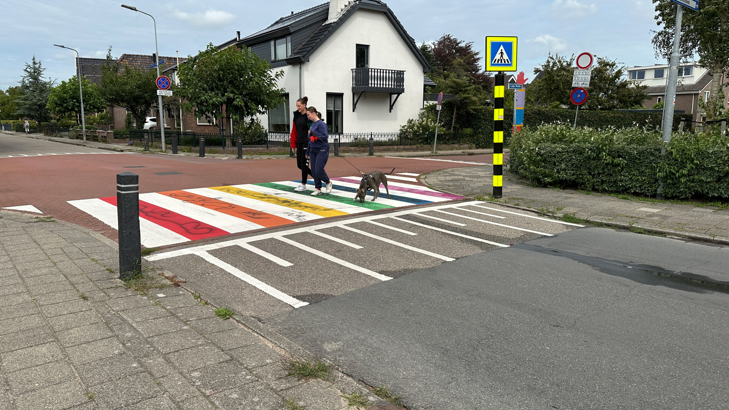 Twee mensen lopen met een hond aan de lijn over een regenboog-zebrapad in een woonwijk, omgeven door verkeersborden en groen.
