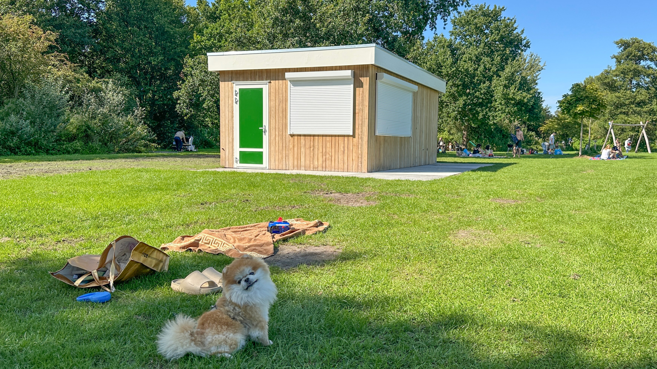 Een klein hondenras met een dikke, pluizige vacht ligt op een grasveld naast een handdoek en een tas. Op de achtergrond een houten gebouw met een groene deur, en mensen die in het park van de zon genieten.