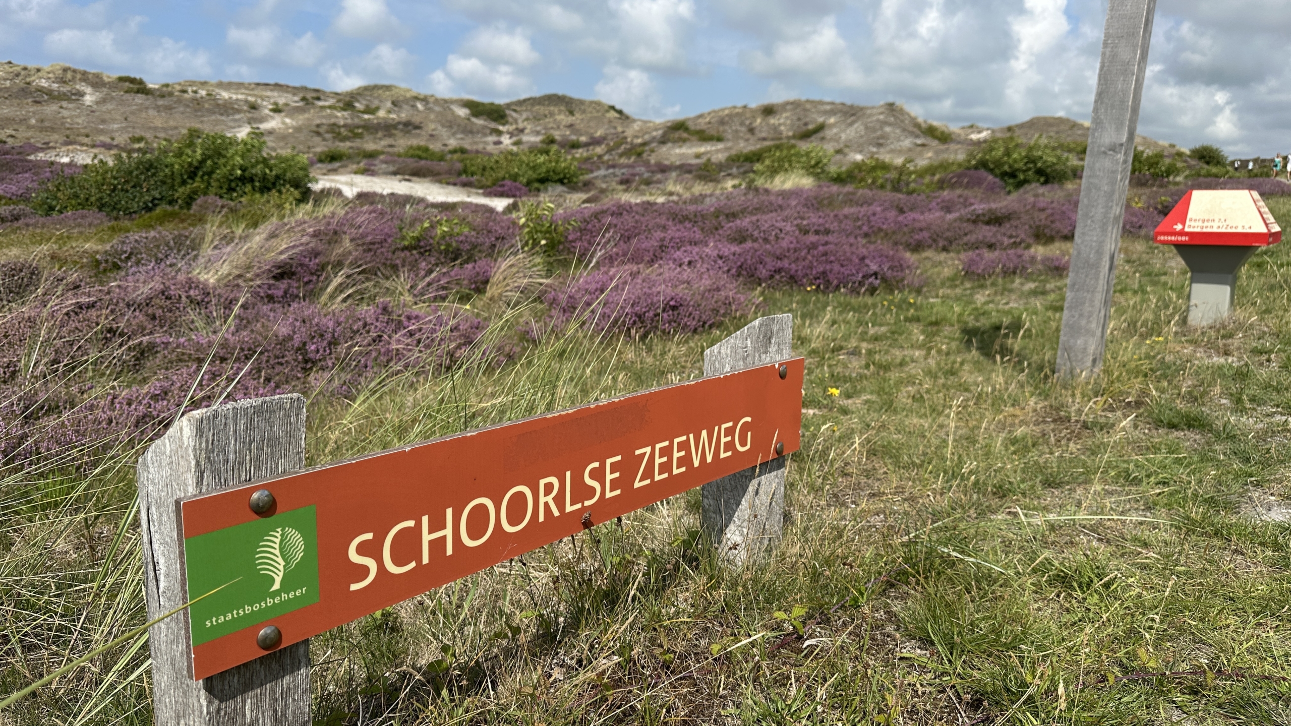 Een bord met de tekst 'Schoorlse Zeeweg' in een landschap met paarse heide en zandduinen, onder een deels bewolkte lucht.