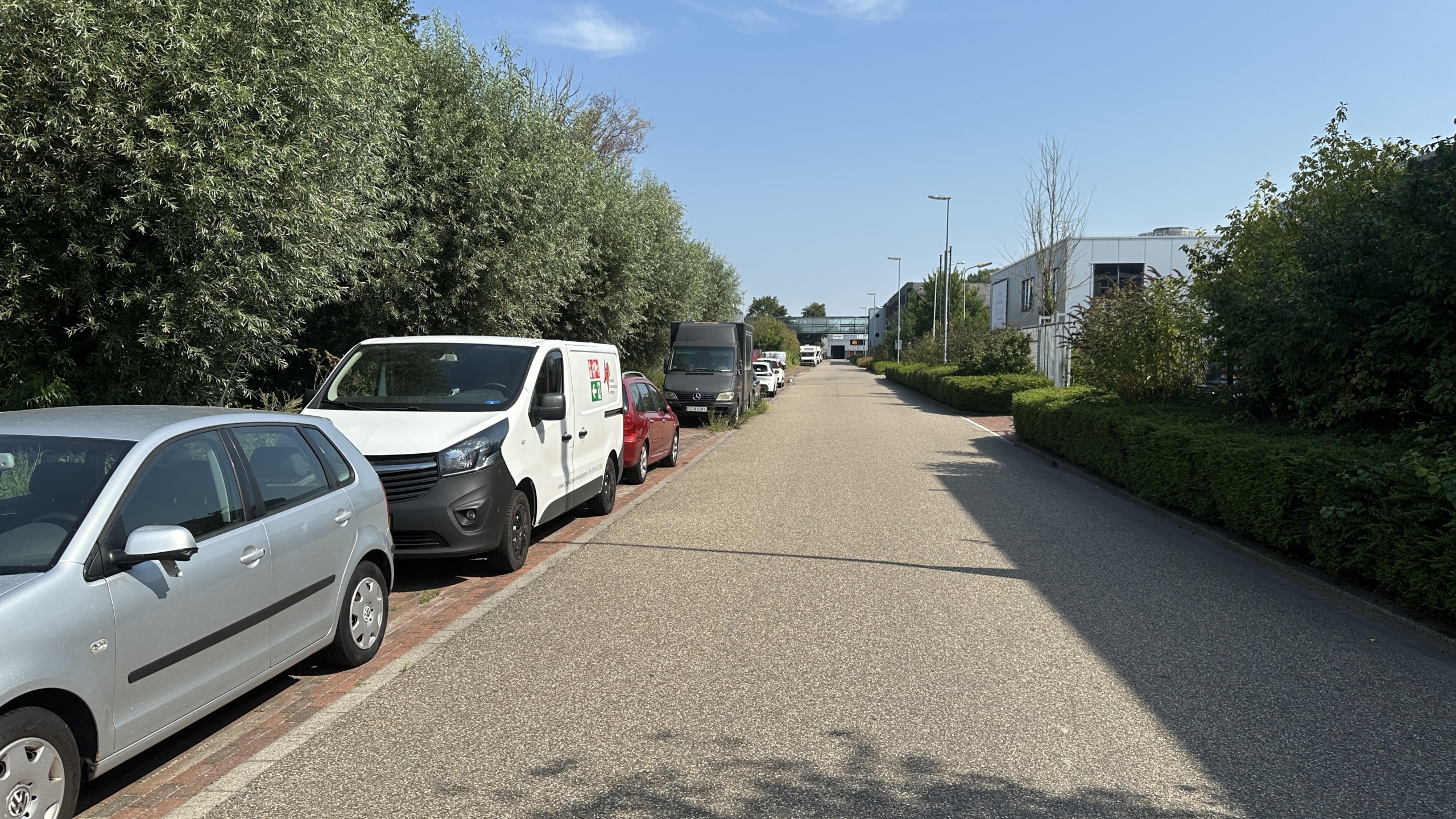 Een rustige straat met auto's geparkeerd langs de stoep en een rij bomen aan de linkerzijde, onder een heldere blauwe lucht.