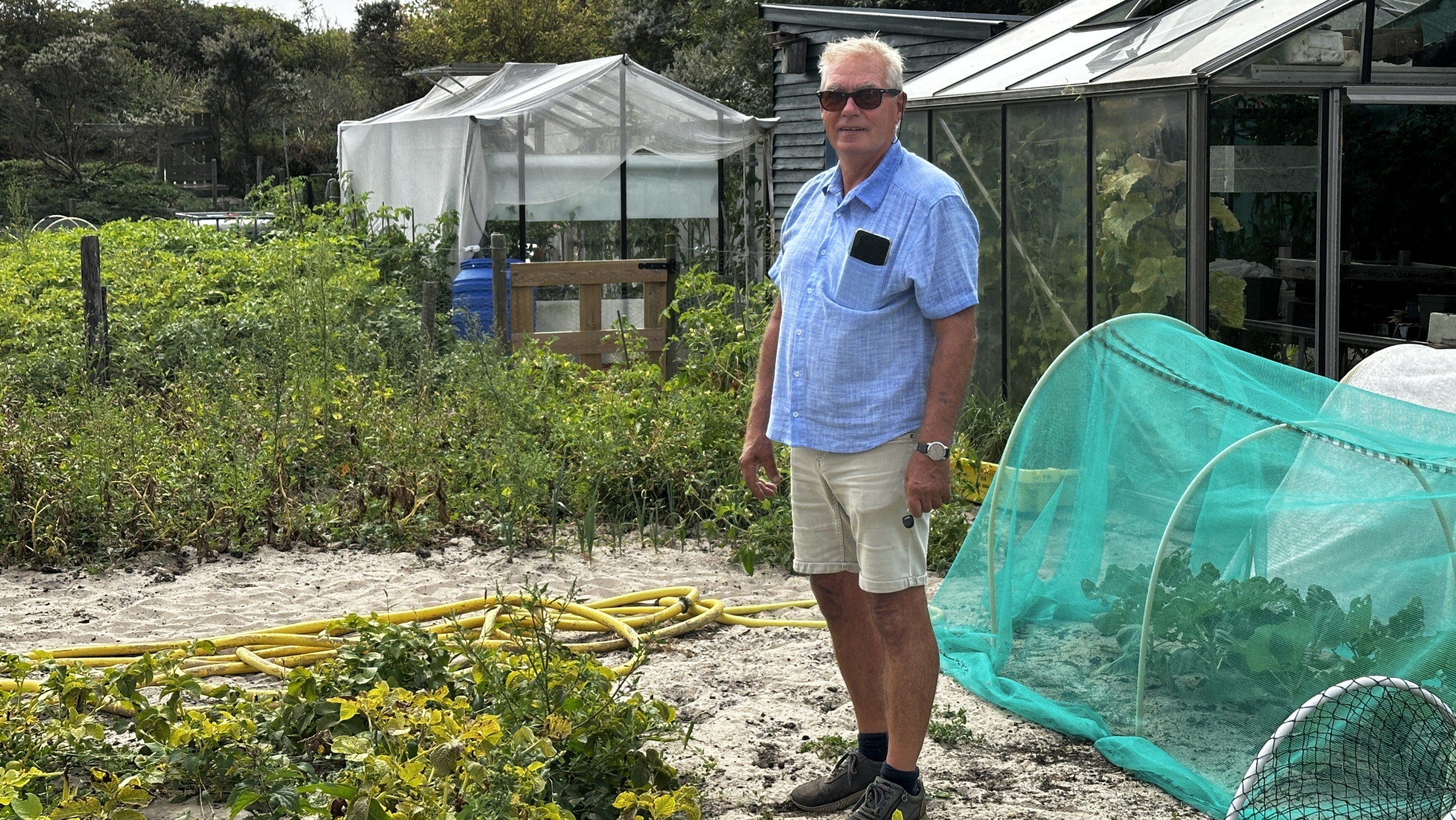 Man in shorts and a light blue shirt stands in a garden with greenhouses and plants.
