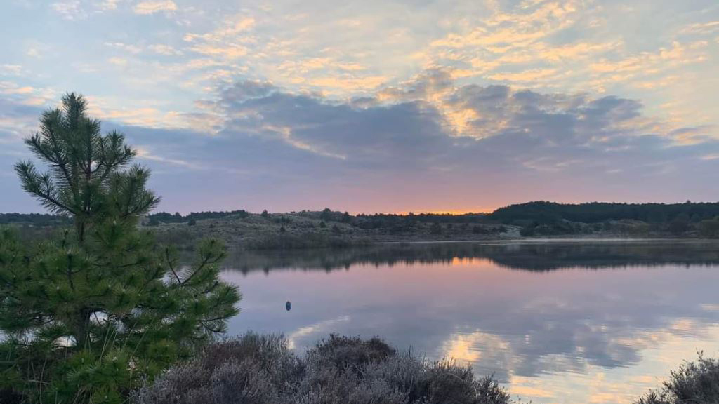 Een schilderachtig landschap bij zonsondergang met een meer dat de kleurrijke lucht weerspiegelt en een dennenboom op de voorgrond.