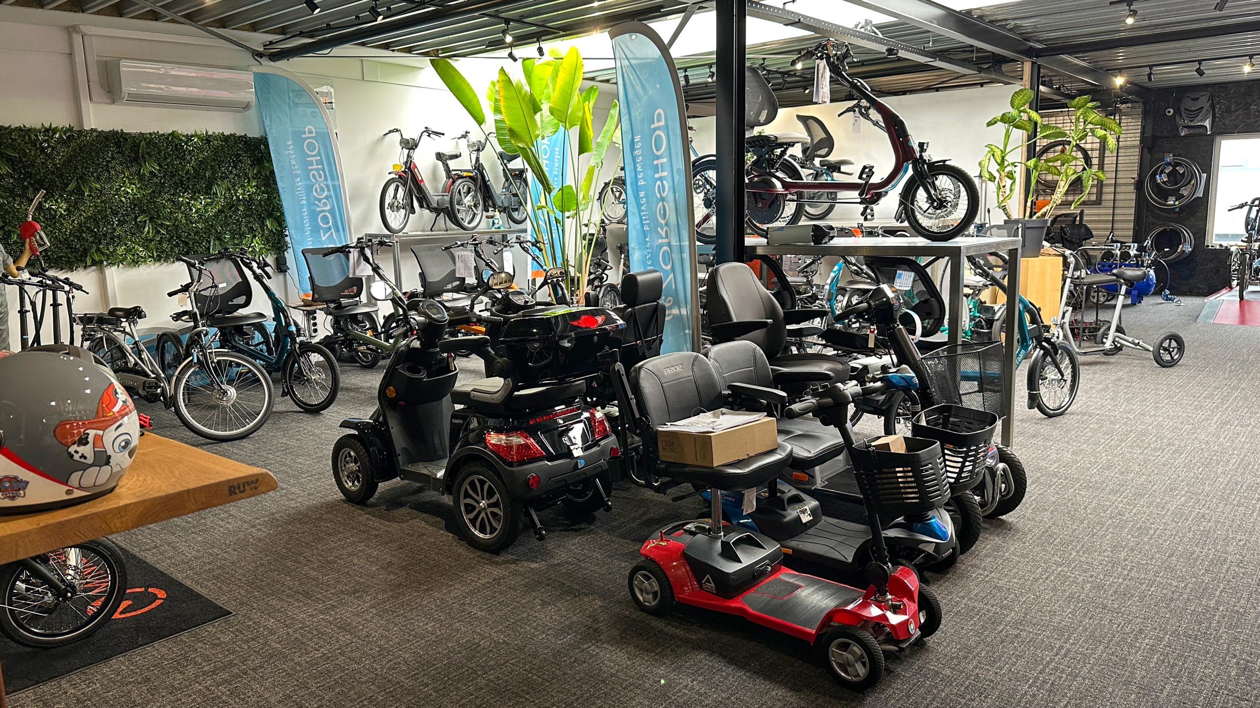 Showroom vol met geparkeerde elektrische scooters, fietsen en andere mobiliteitsapparaten met een plantendecor en promotiemateriaal op de achtergrond.