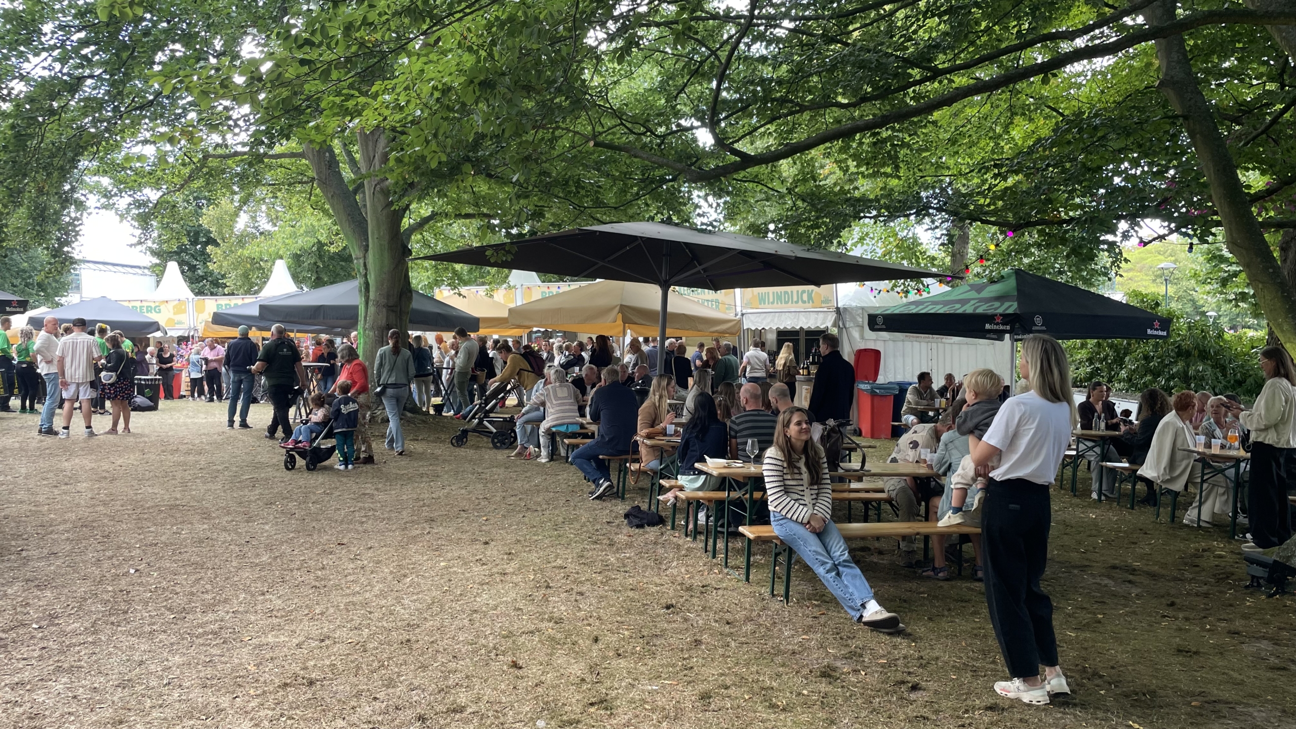 Mensen zitten en staan in een parkachtige omgeving tijdens een buitenfestival, met kraampjes op de achtergrond en bomen die schaduw bieden.