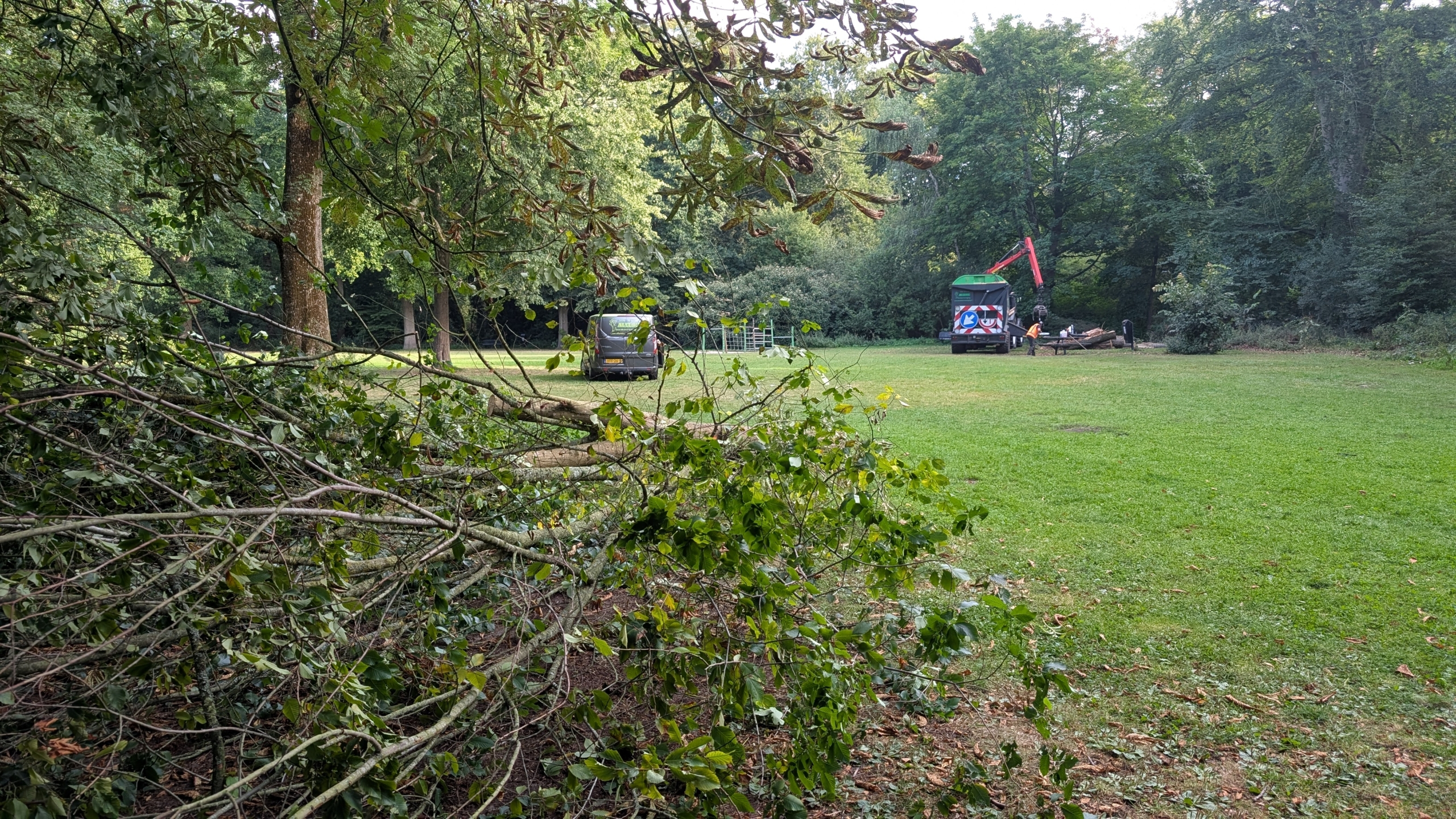 Parkland scene with fallen branches in the foreground and vehicles in the distance, including a truck with a mechanical arm, amidst lush greenery and trees.